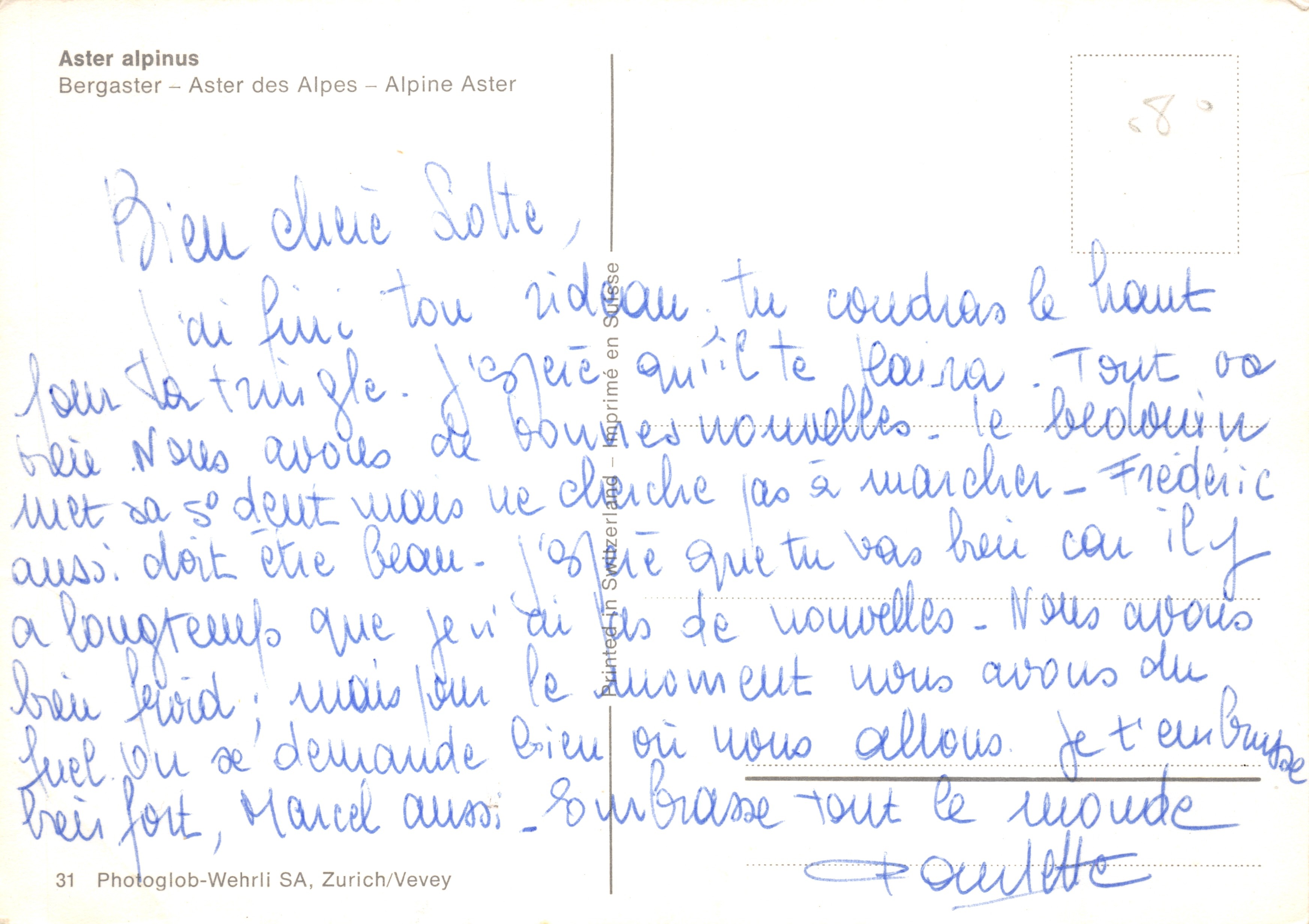 Aster alpinus — fleurs violettes et jaunes sur rochers — Photoglob-Wehrli SA, Zurich/Vevey n°31 — Verso