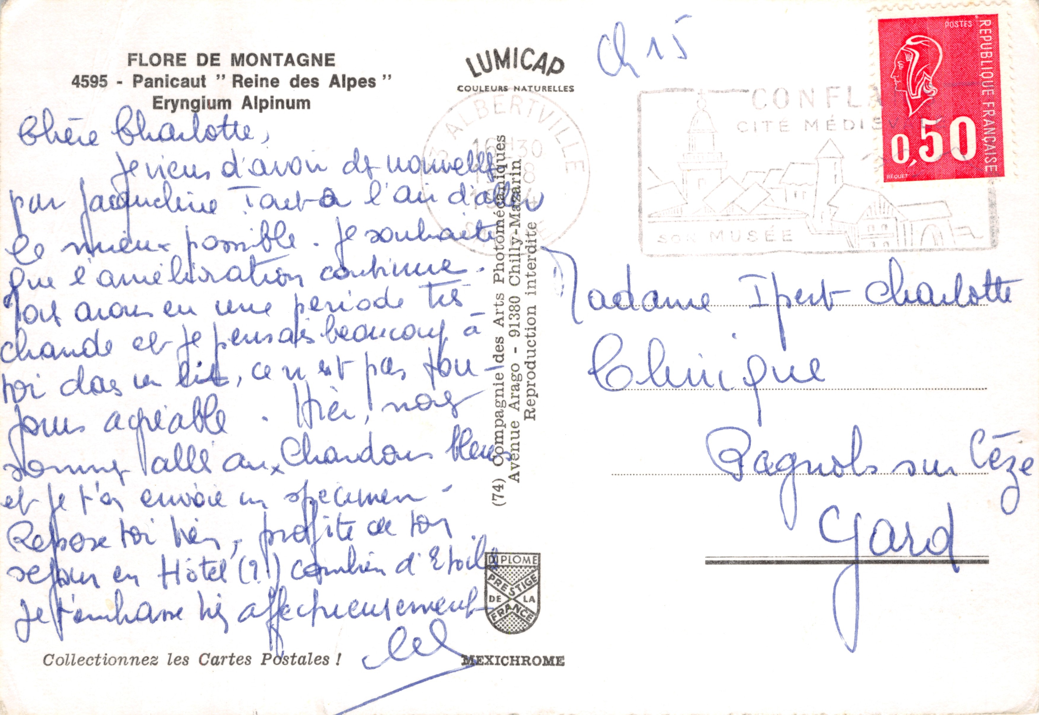 Eryngium Alpinum — fiore di montagna — editore LUMICAD, serie "Flora Alpina" — Verso