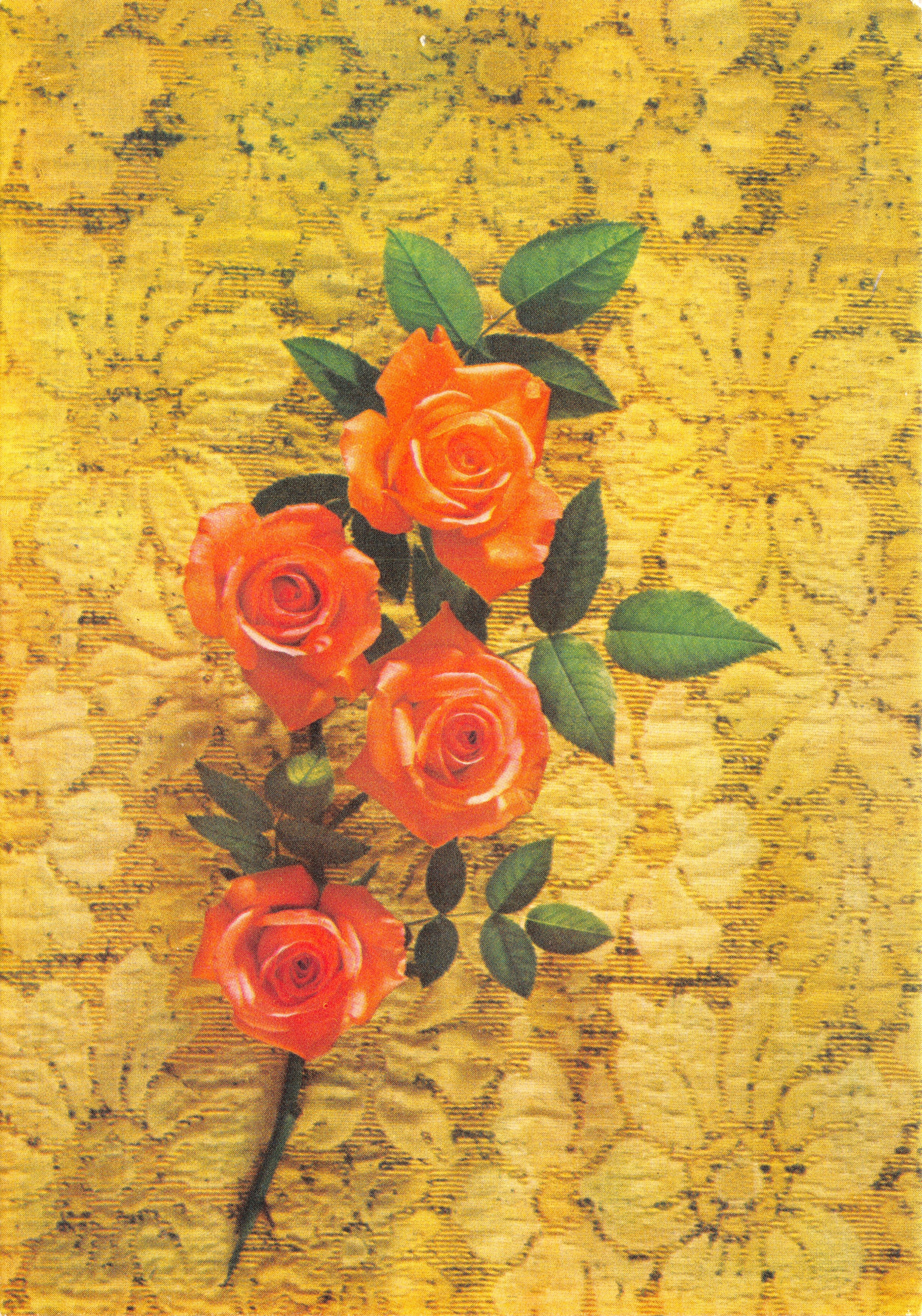 Rosa arancio — mazzo di rose su fondo giallo ricamato — editore STAMPATO SULLA CARTA: MADE IN FRANCE