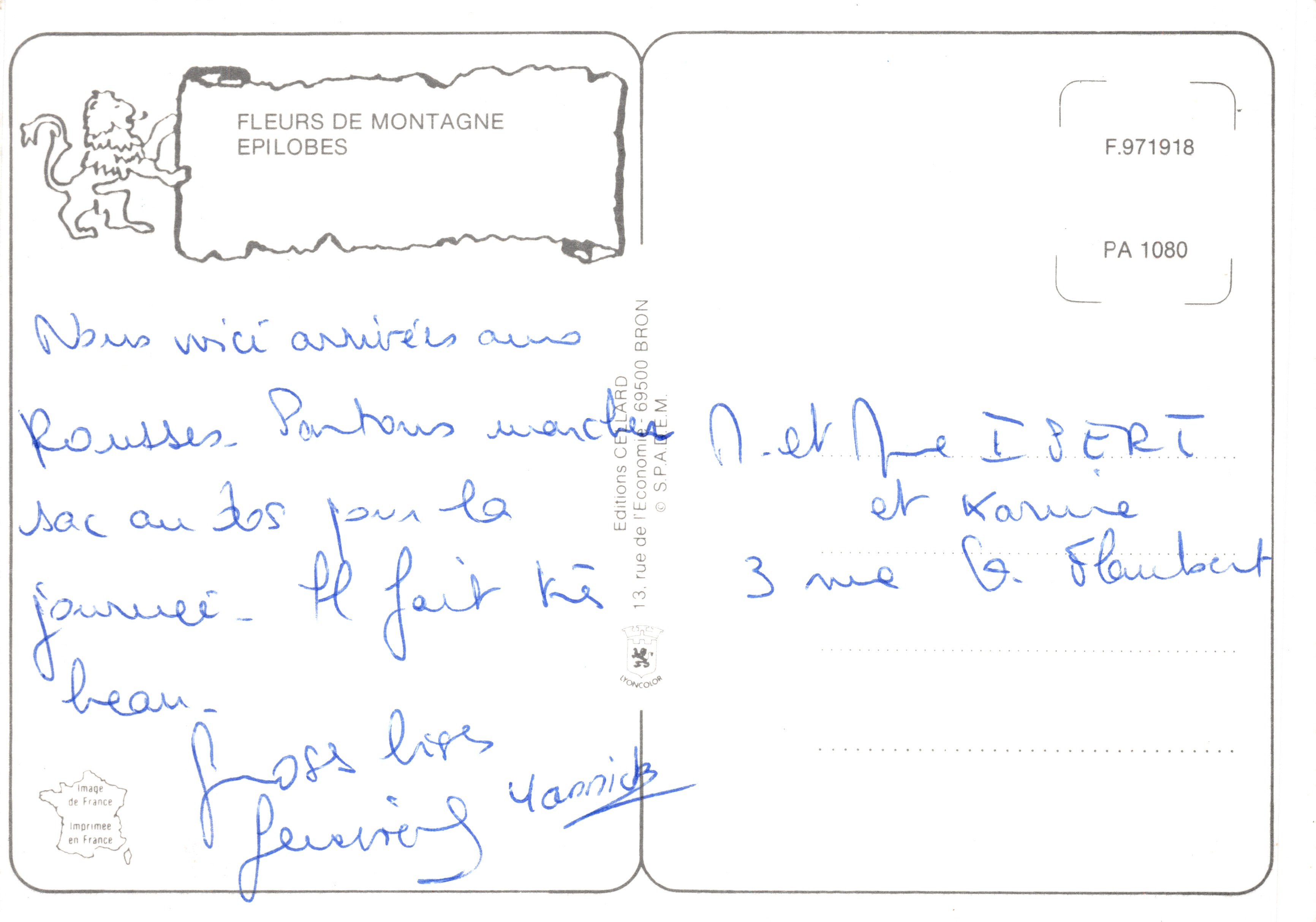 Epilobi — fiore montano in pieno fiore — Éditions CEBARD — Verso