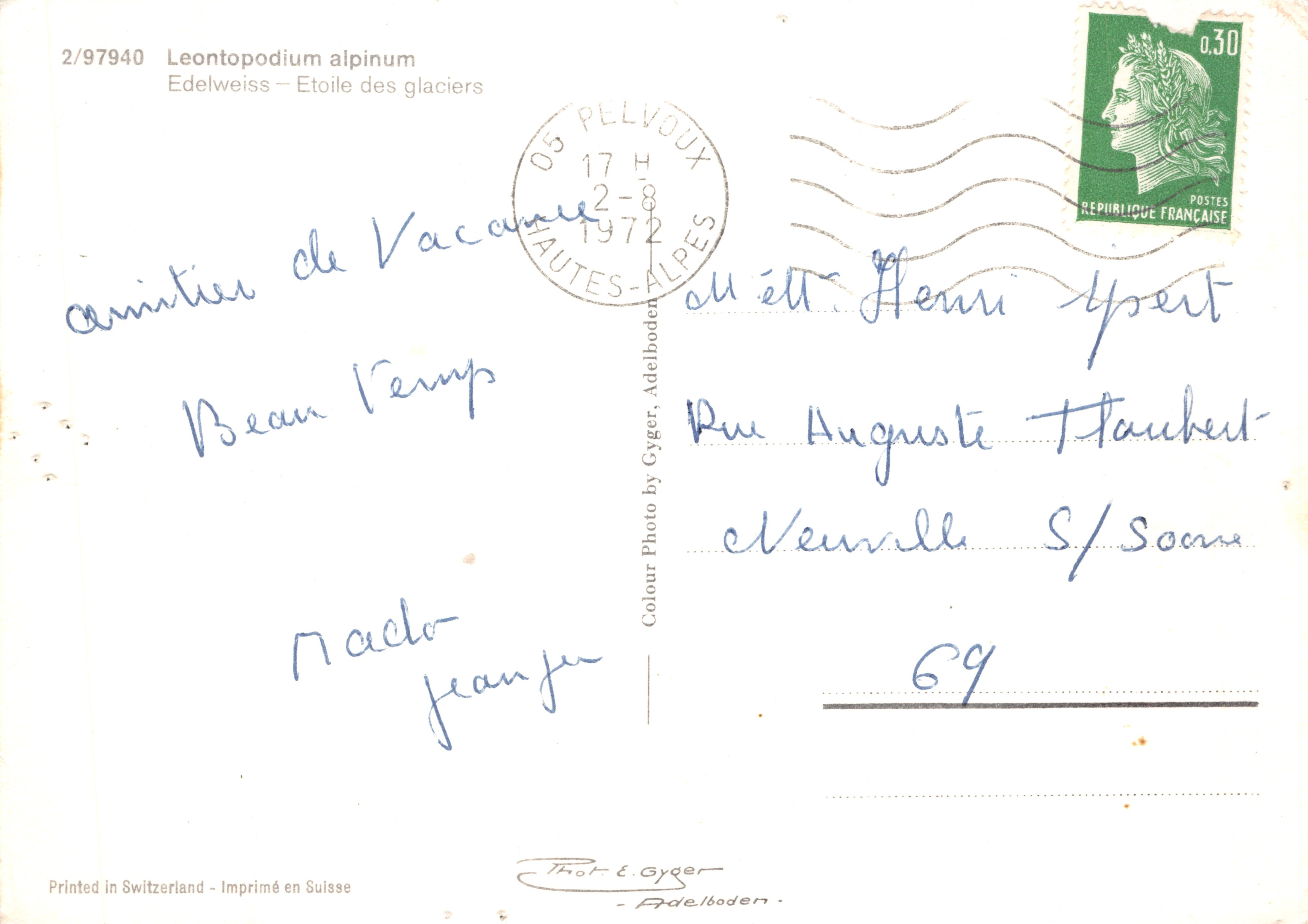 Edelweiss — Etoile des glaciers — Photo by Gyger, n°2/97940 — Reverso