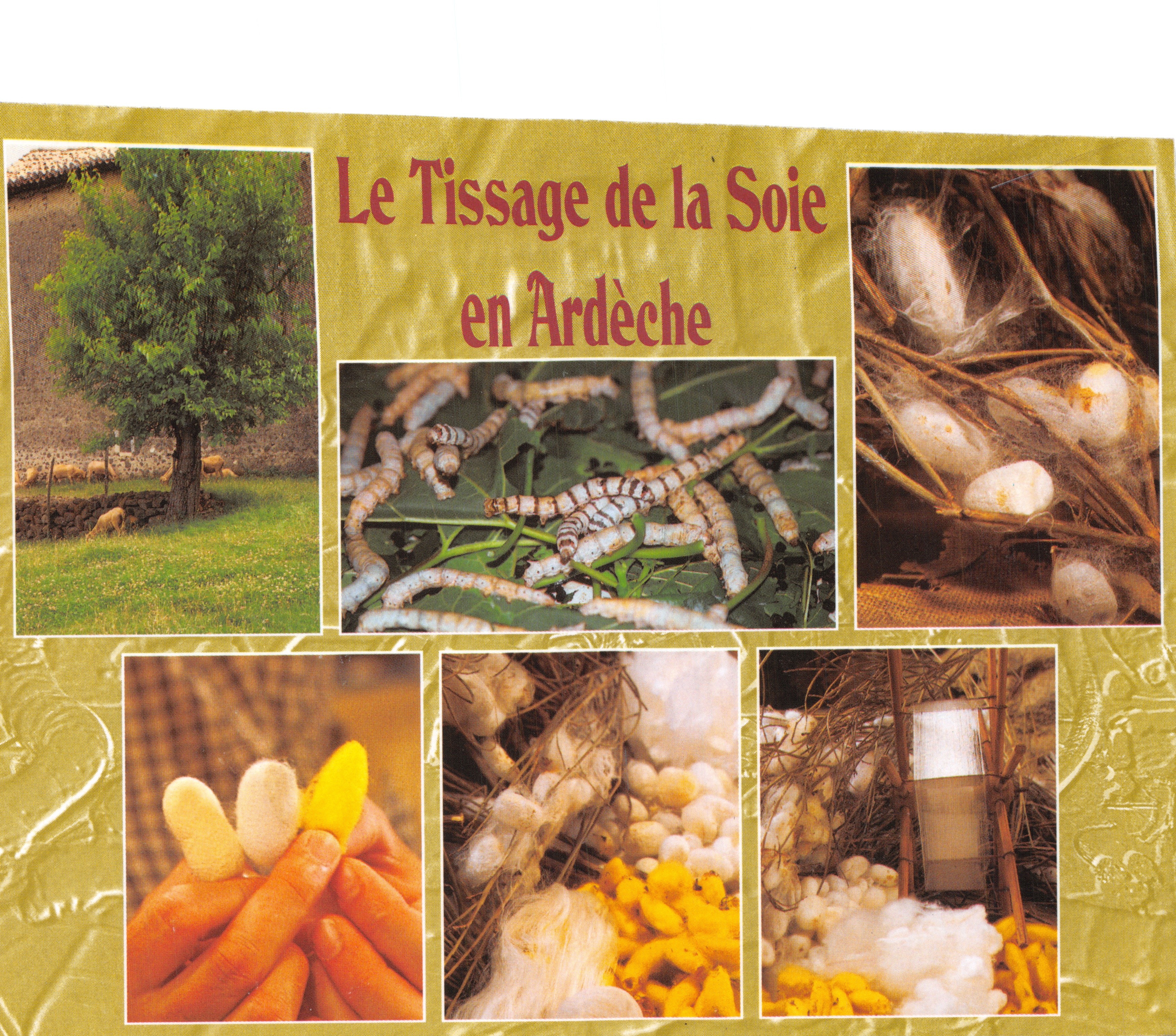 La tessitura della seta nell'Ardèche — processo della seta — Edizioni FLASH CARTES