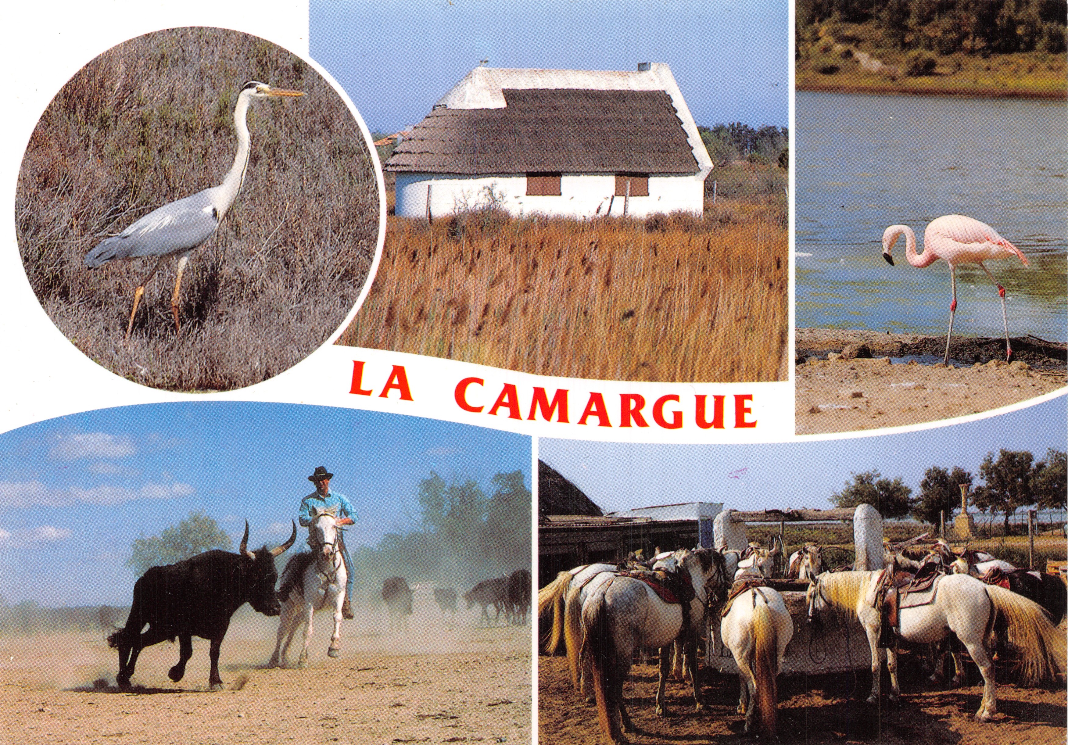 La Camargue — paysage avec héron, maison de pêcheur, flamant rose, toréador et chevaux — Éditions Meridionales