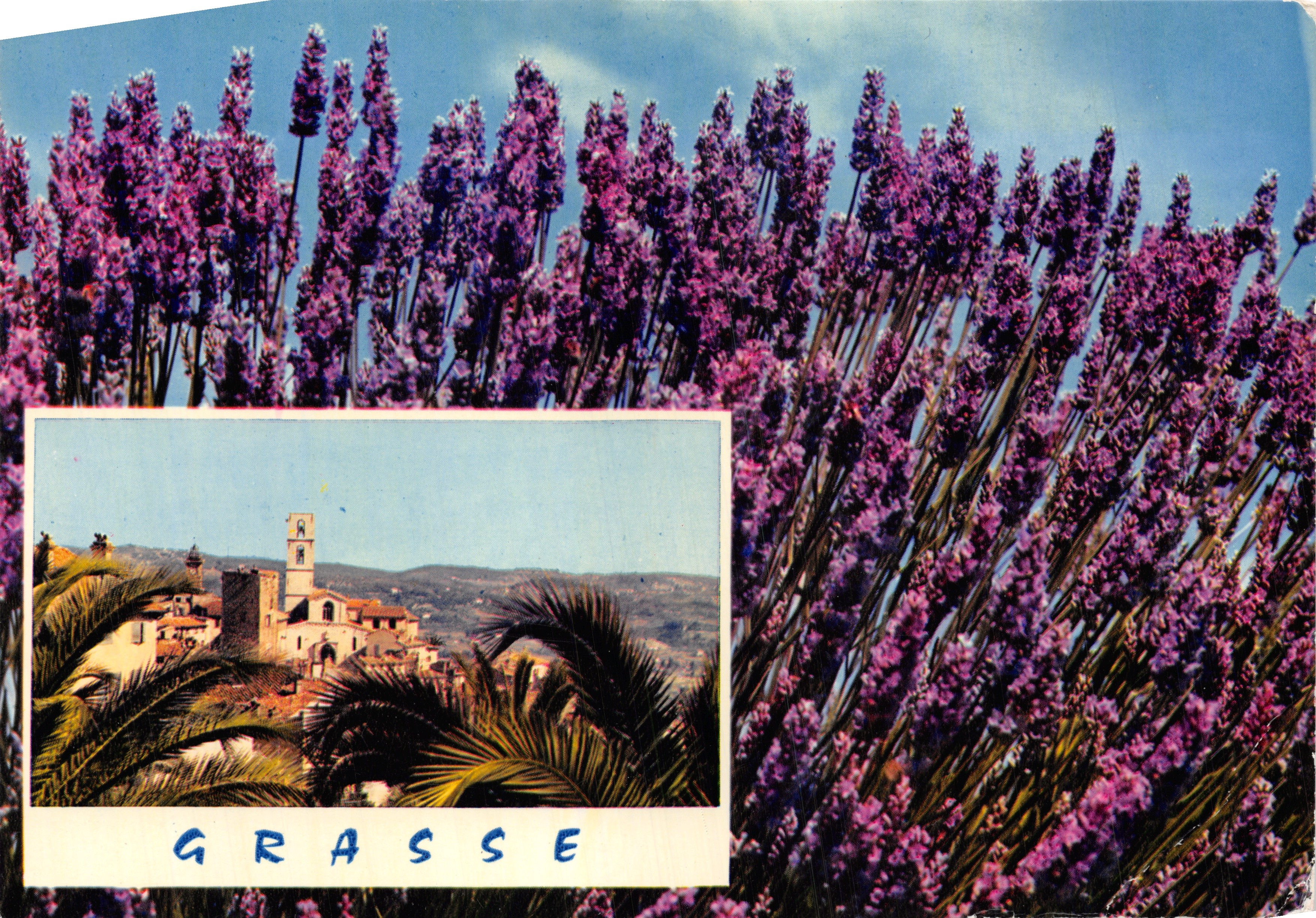 Grasse — vue de la ville avec lavande — Éditions Diamant