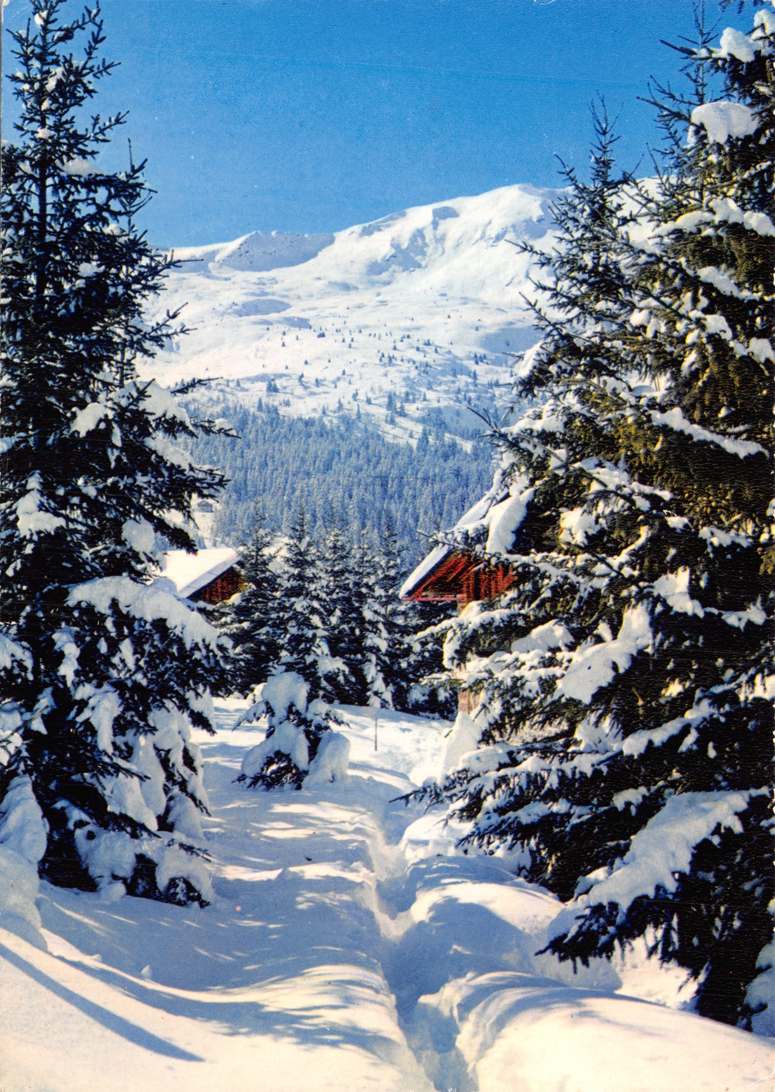 Montagnes enneigées — vue de chalets et forêt — Éditions JANSOL, n°33