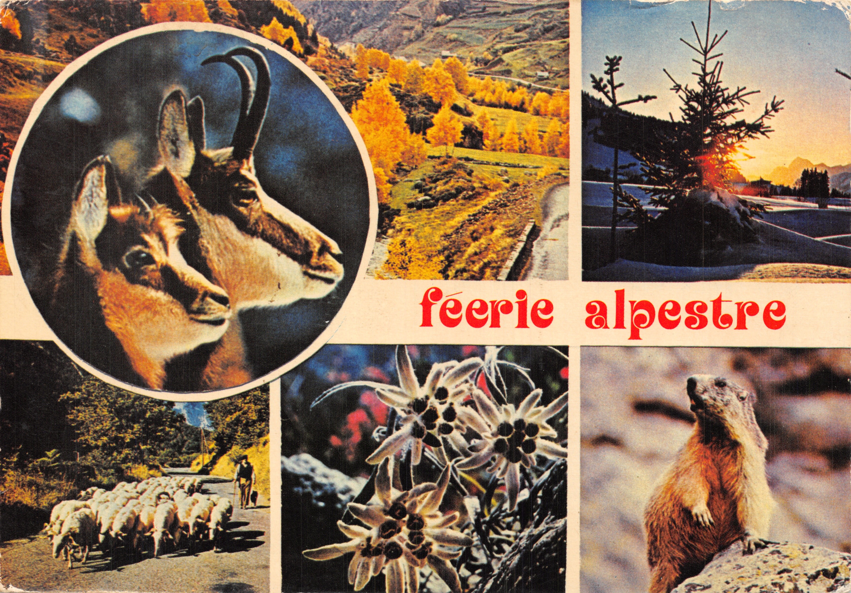 Les Alpes — Feérie Alpestre — Les Éditions Mar