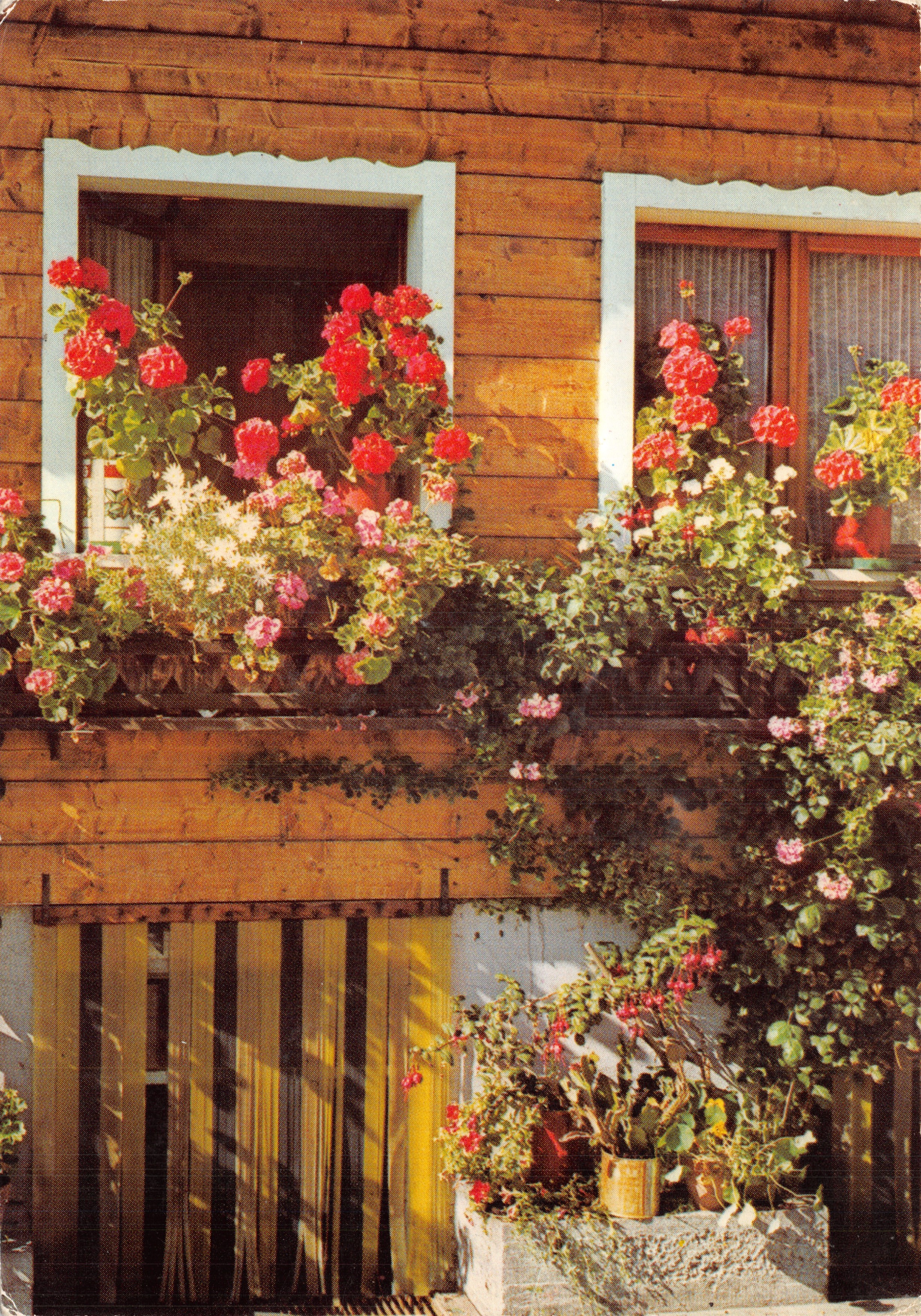 Flores en balcón — casa de madera — editor Dep. Stampada en Italia, n° 37928/01