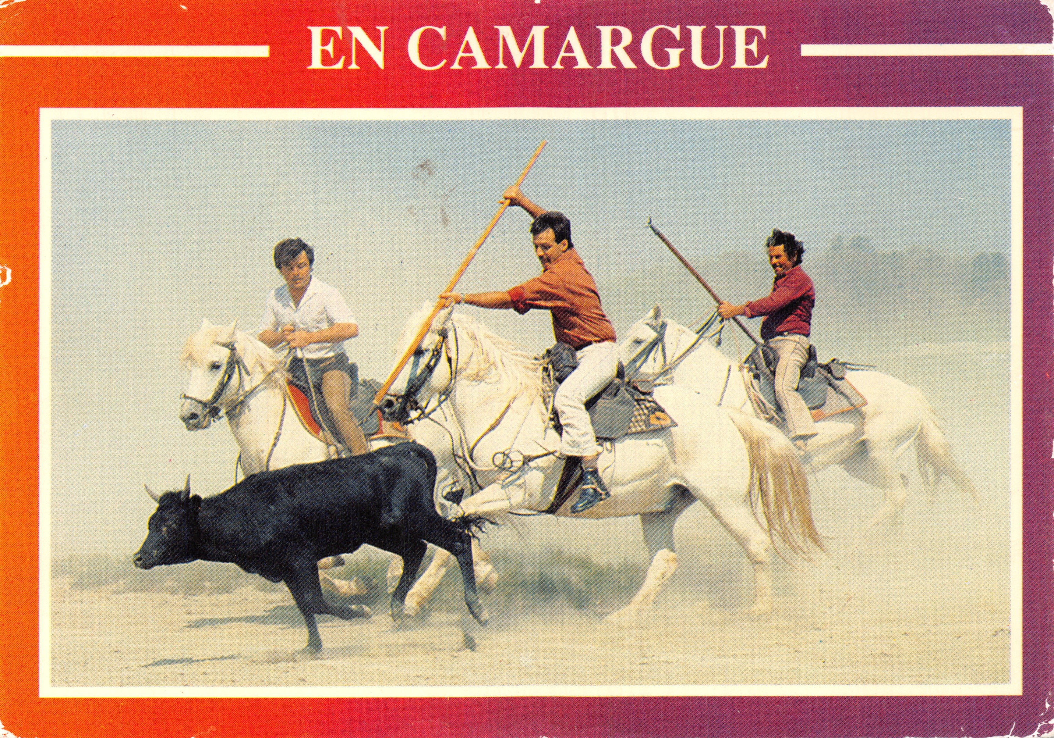 En Camargue — scène de ferrade avec cavaliers et taureau — Éditions Magenta