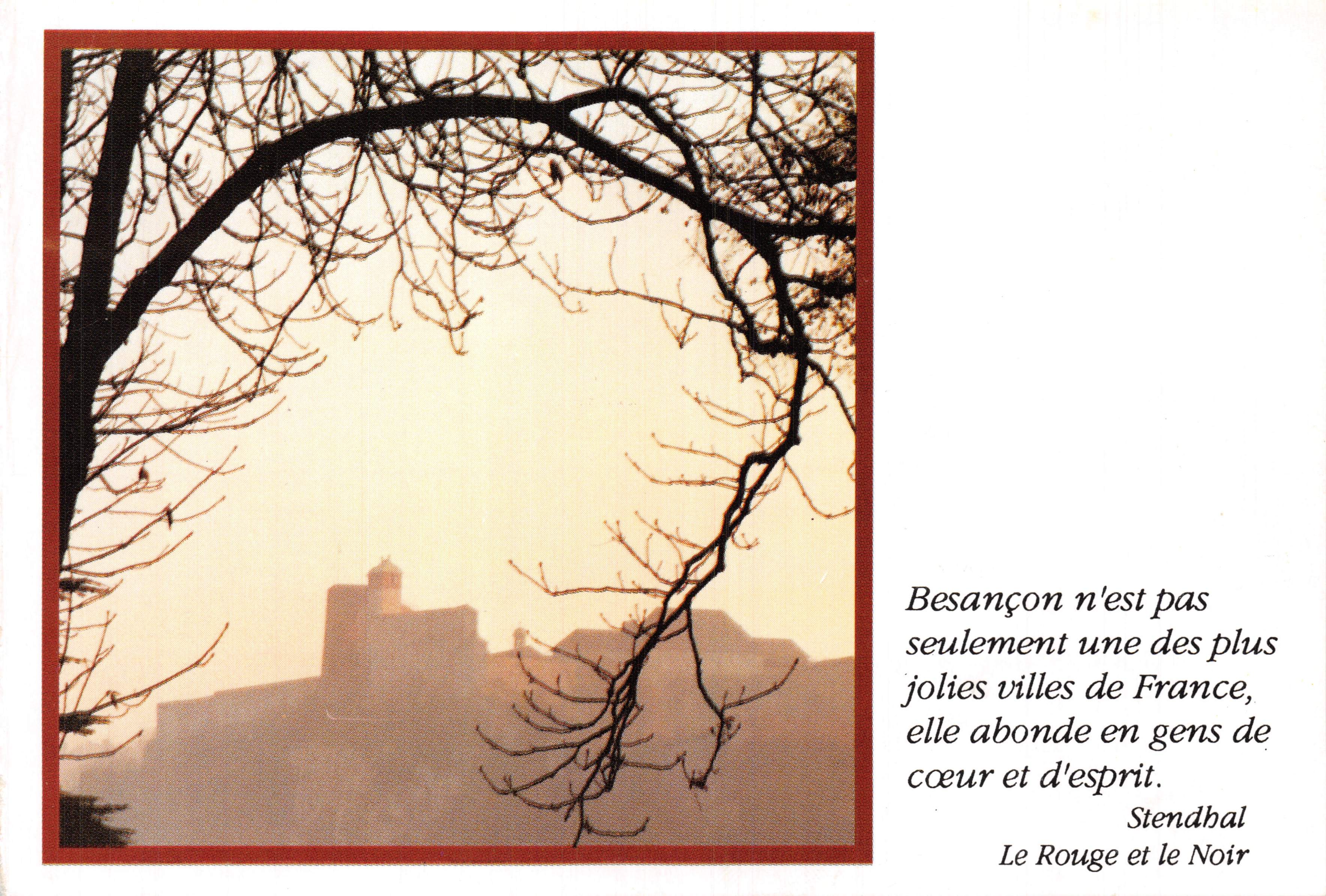 Besançon — vista del castello attraverso i rami nudi — editore L'Est Républicain, numero di serie non visibile