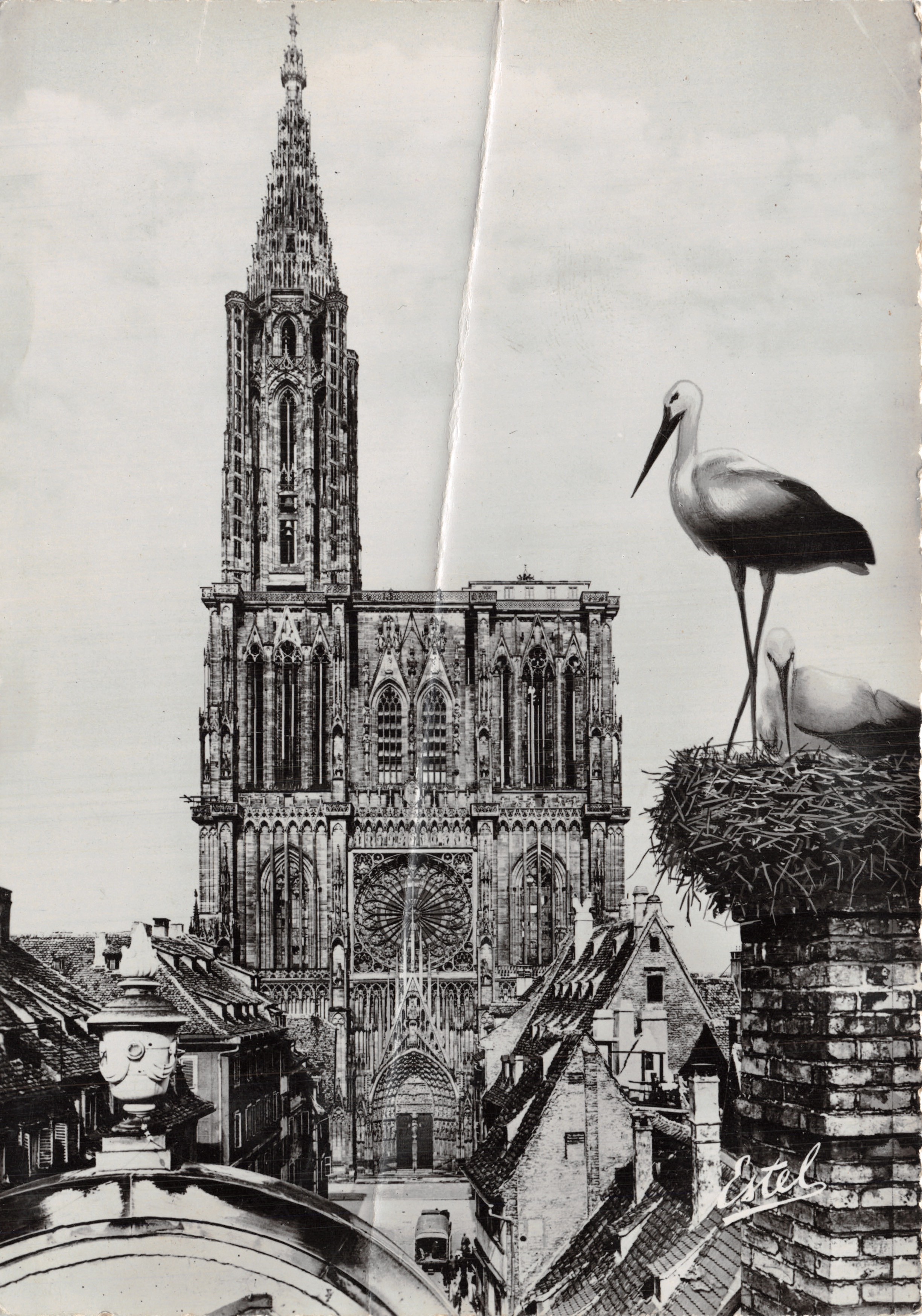 Straatsburg — Kathedraal Notre-Dame — uitgever Estel