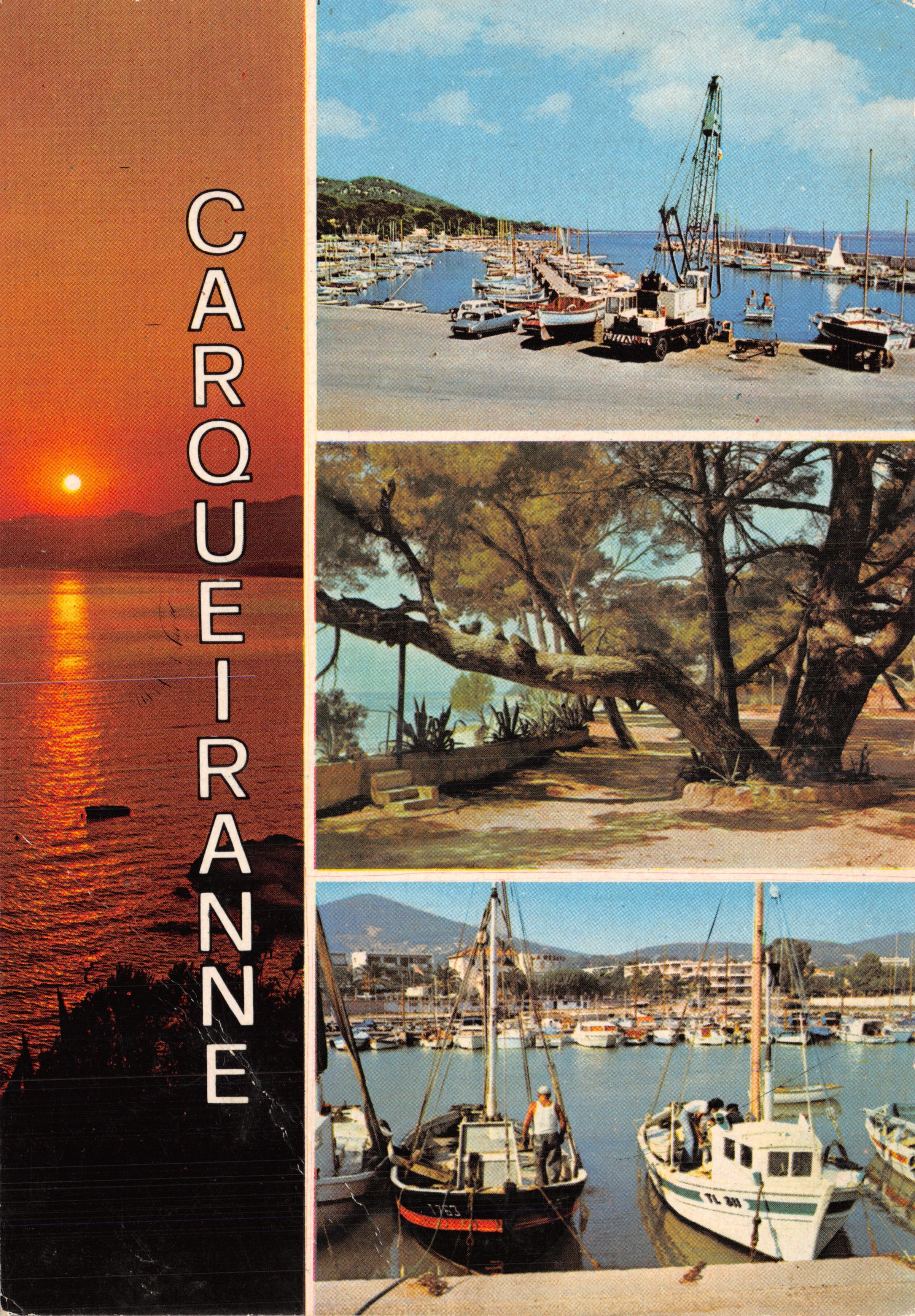 Carqueiranne — vista del puerto, atardecer y pino notable — Éditions S.E.P.T