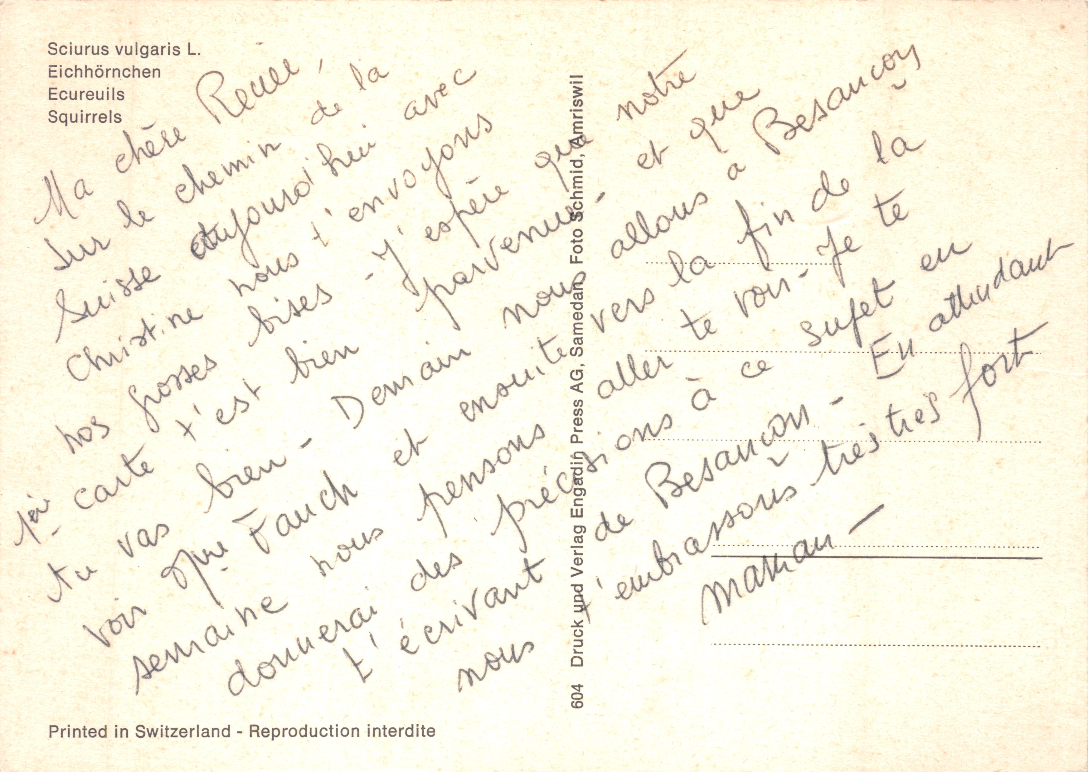Drei Rothirsche — Szene an einer Kirschlorbeerzweig — Verlag Engaduin Press AG, Nr. 604 — Rückseite