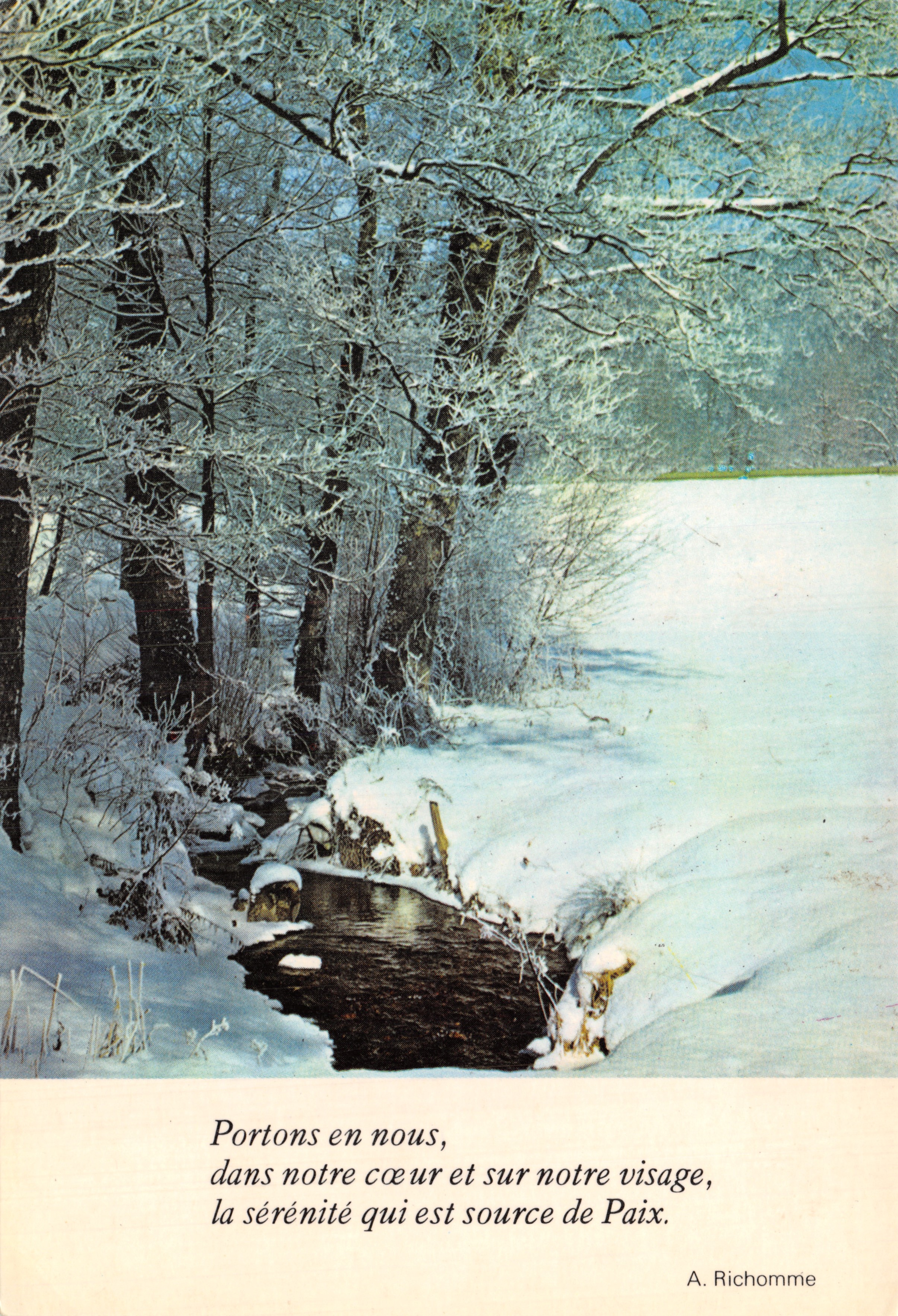 Bosque nevado — Río congelado — A. Richomme