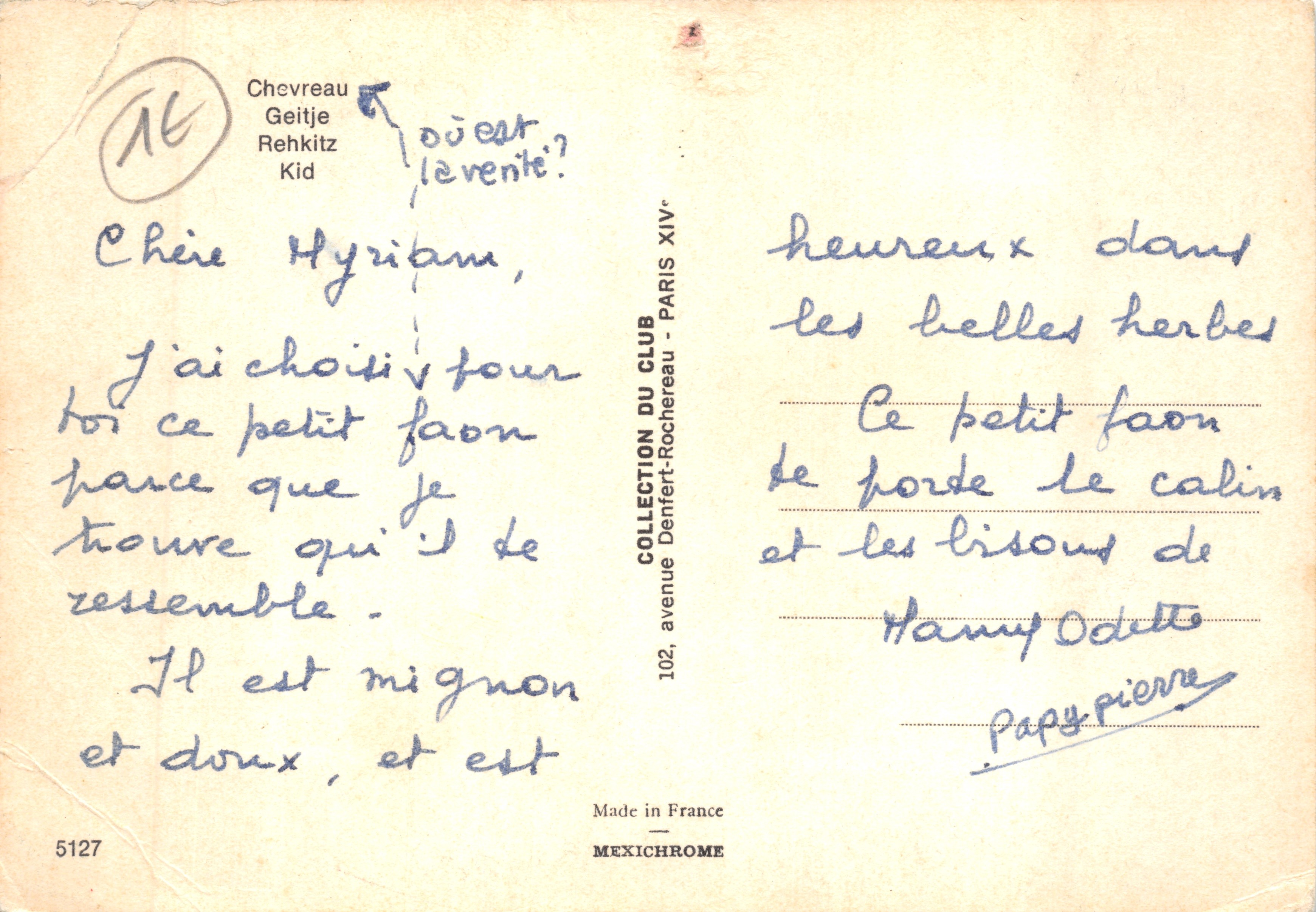 Little fawn — among the tall golden grasses — Mexichrome, n°5127 — Back