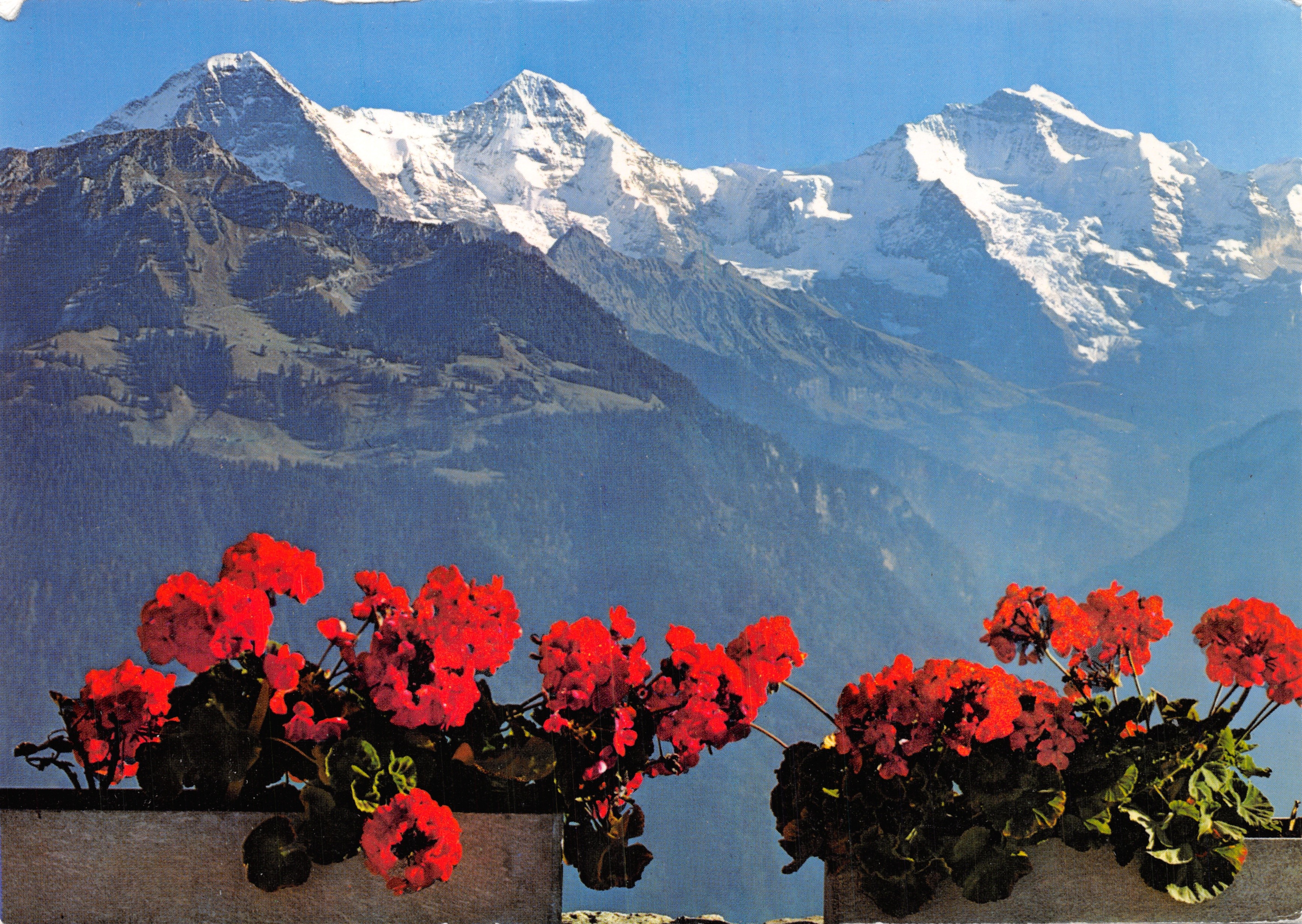 View of the peaks of the Eiger, the Mönch, and the Jungfrau — Harderkulm (1322 m) — Photoglob-Wehrli AG, Zürich