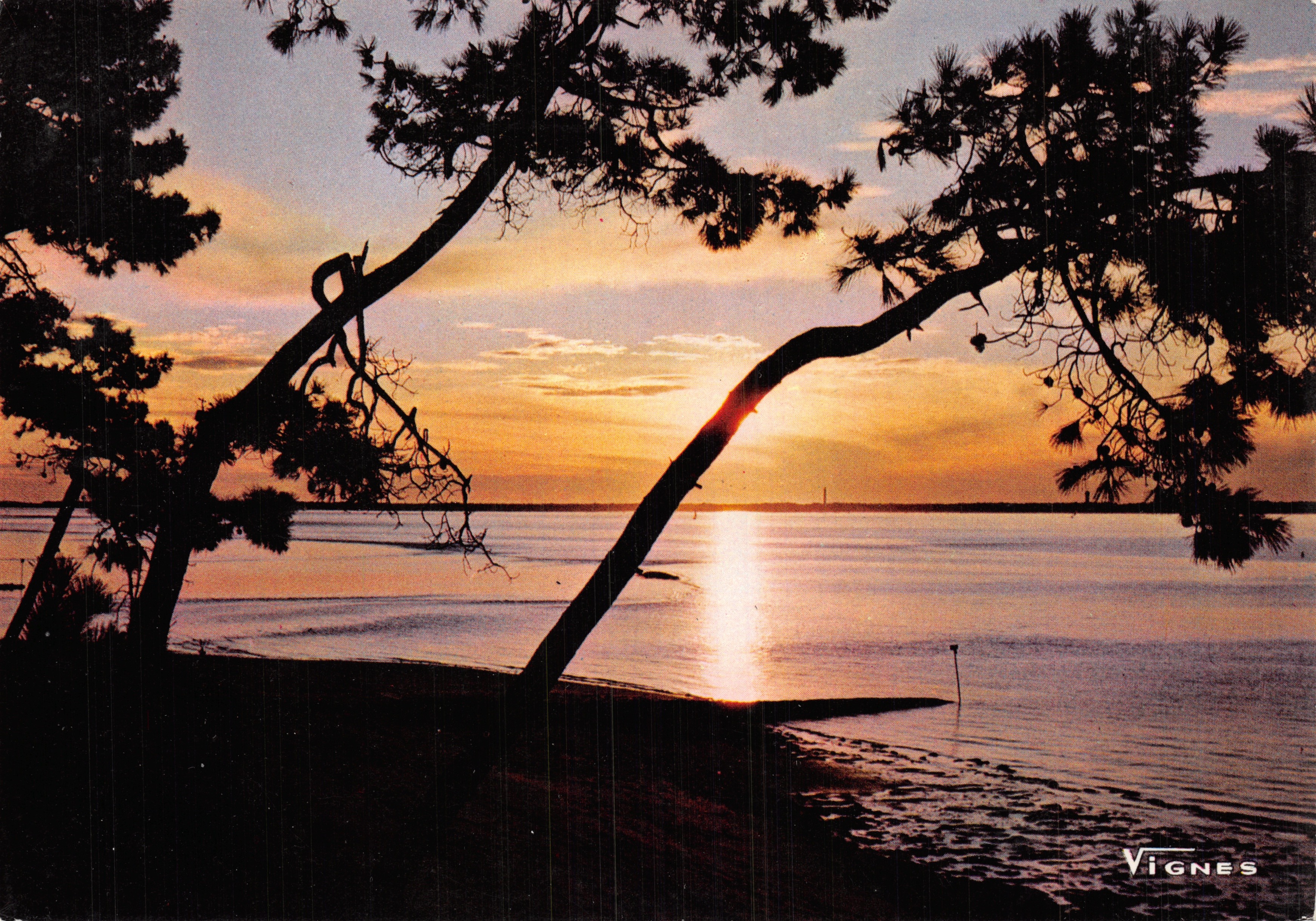 Zonsondergang — uitzicht vanuit de Landes — uitgever VIGNES