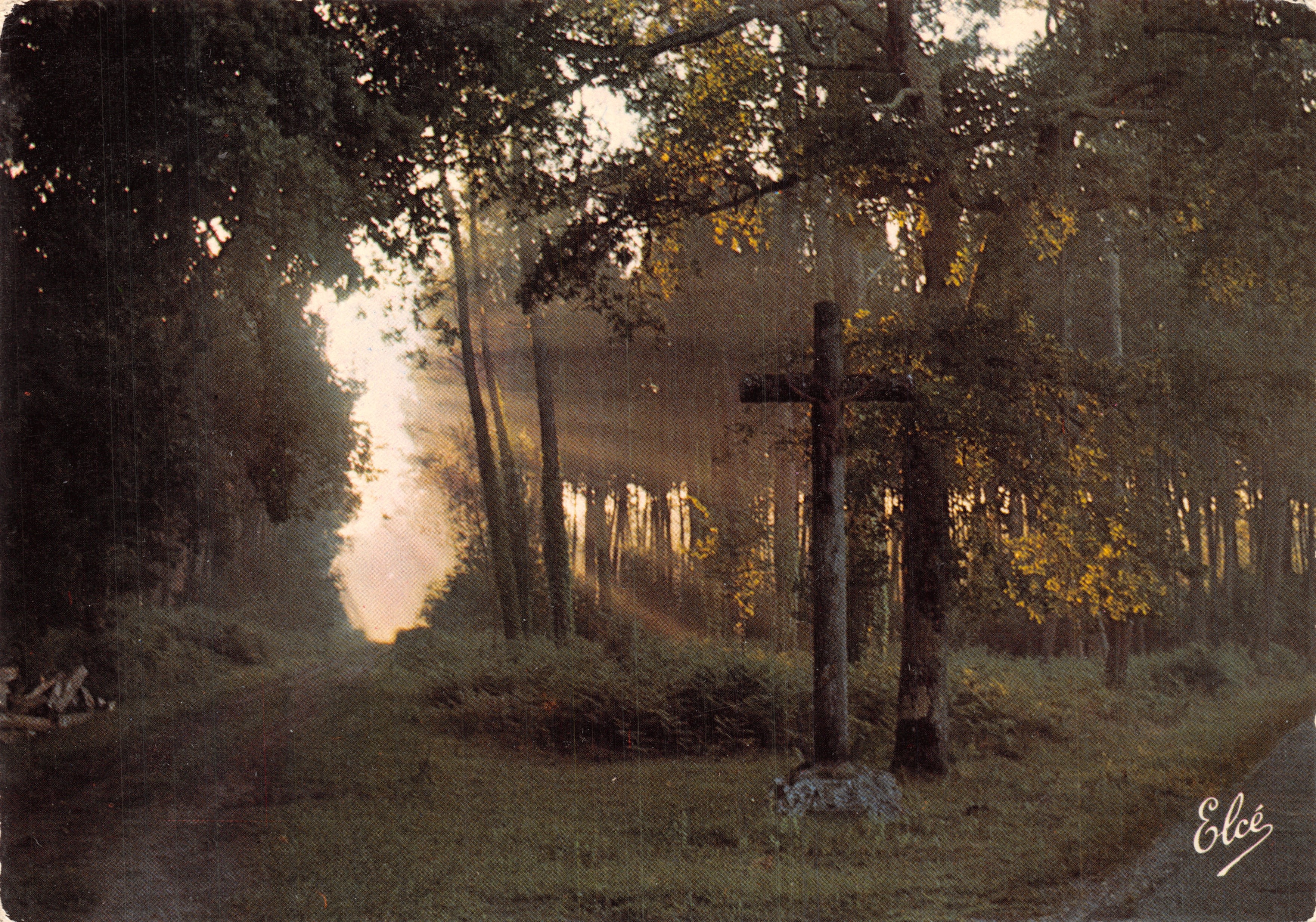 La croisée des chemins dans la forêt, au petit matin — Élécé, éditeur IMPRIMÉ SUR LA CARTE, n° N 6443