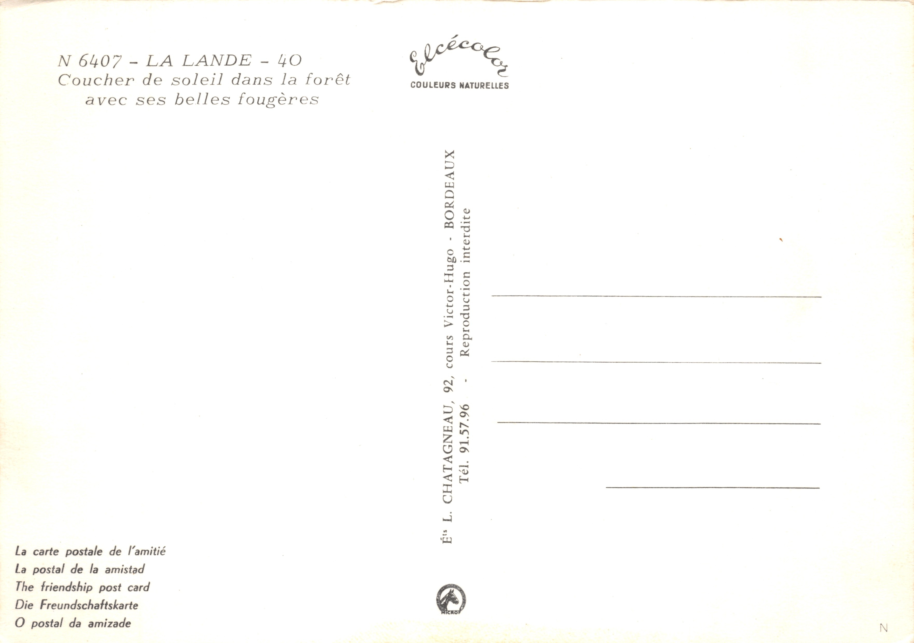 Bosque de La Lande — atardecer con sus hermosas helechas — Editor Elcécé, n.º 6407 — Reverso