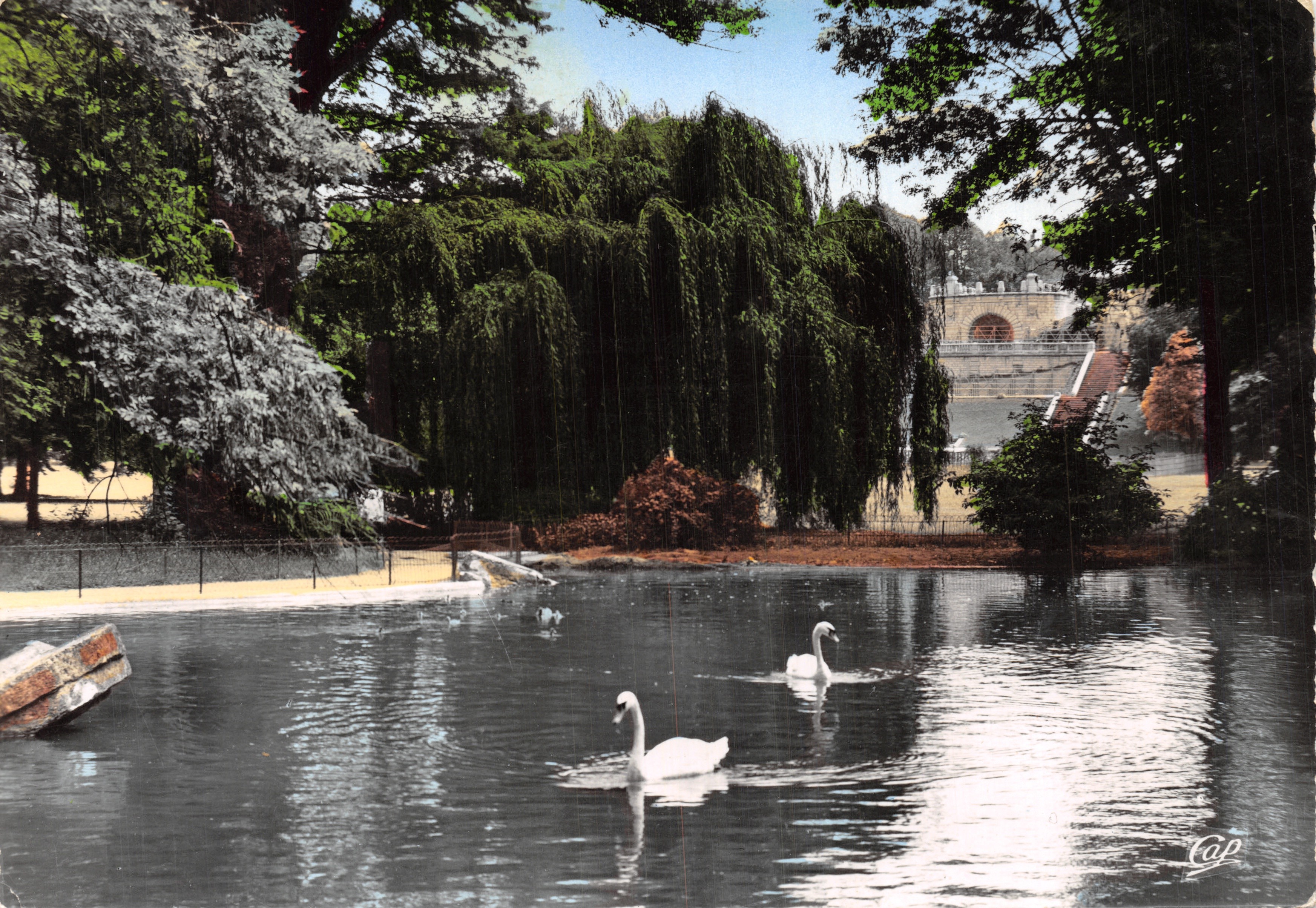 Parco Jouvet — stagno con cigni — editore Real-Photo - Cie des Arts Photomécaniques (77) - Parigi (15°)