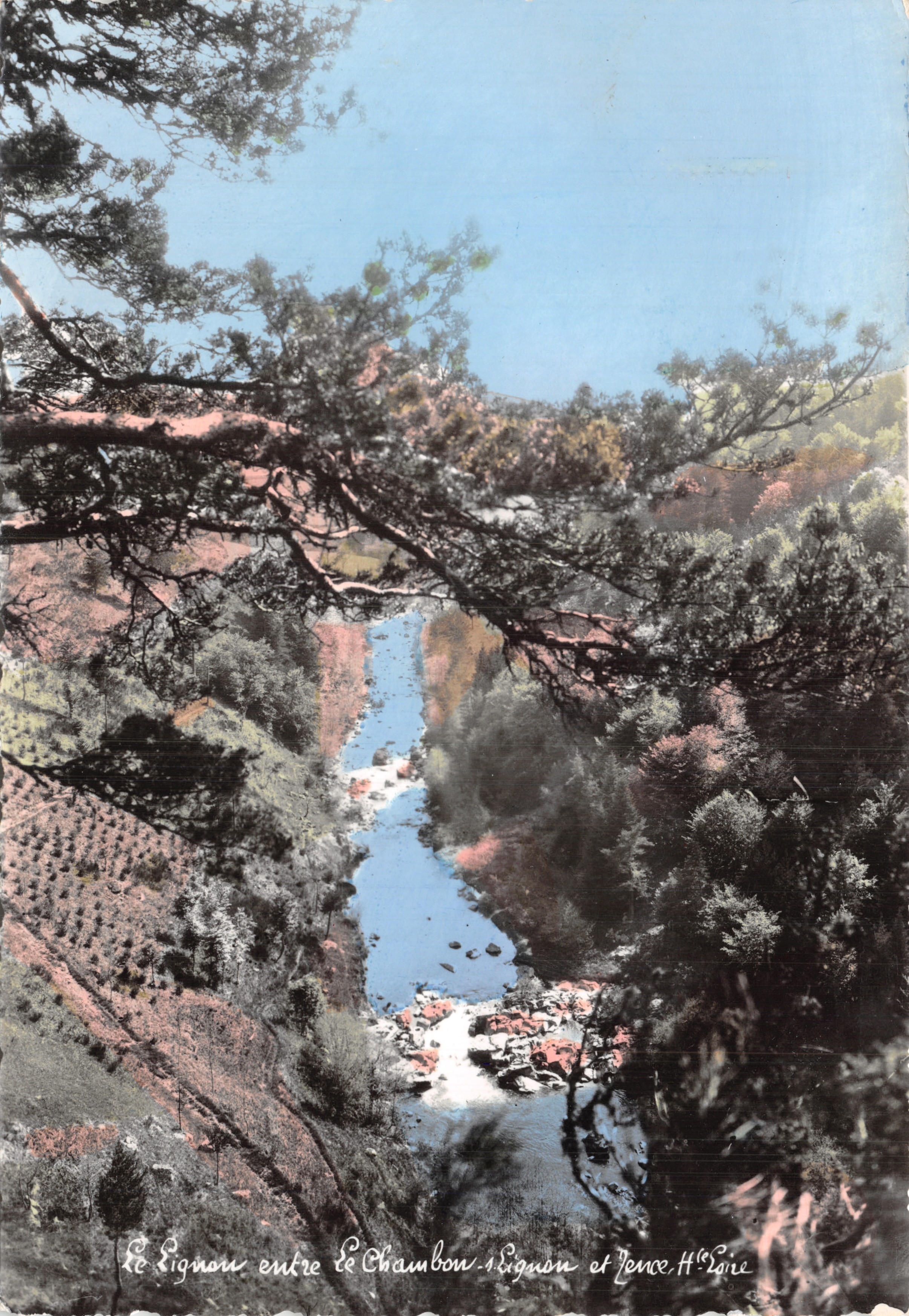 El Lignon entre Le Chambon y Lence — vista en color desde un árbol, editor Ed. A. Roche, n.º 1420