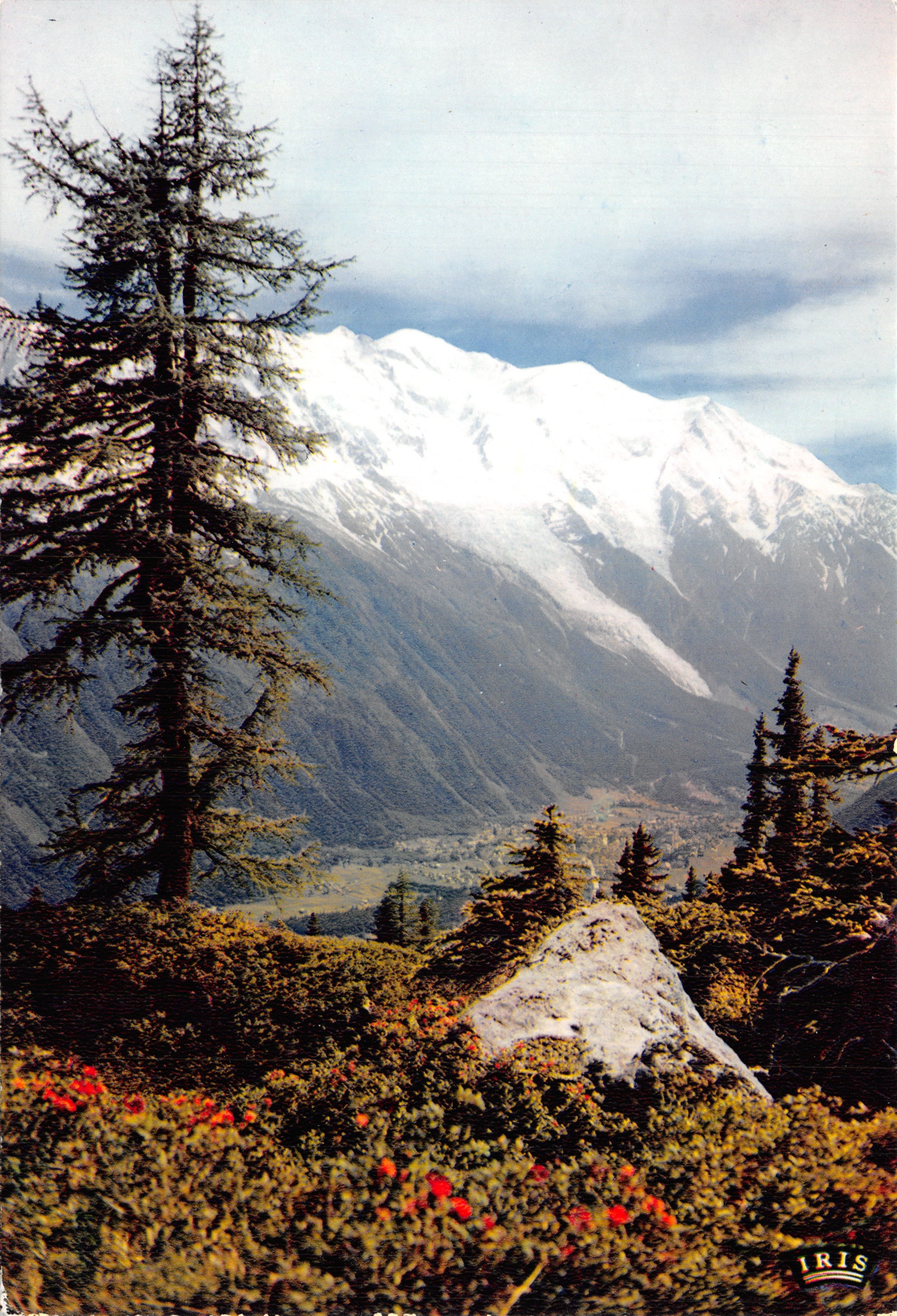 Mont Blanc — panorama da Flégère — editore IRIS