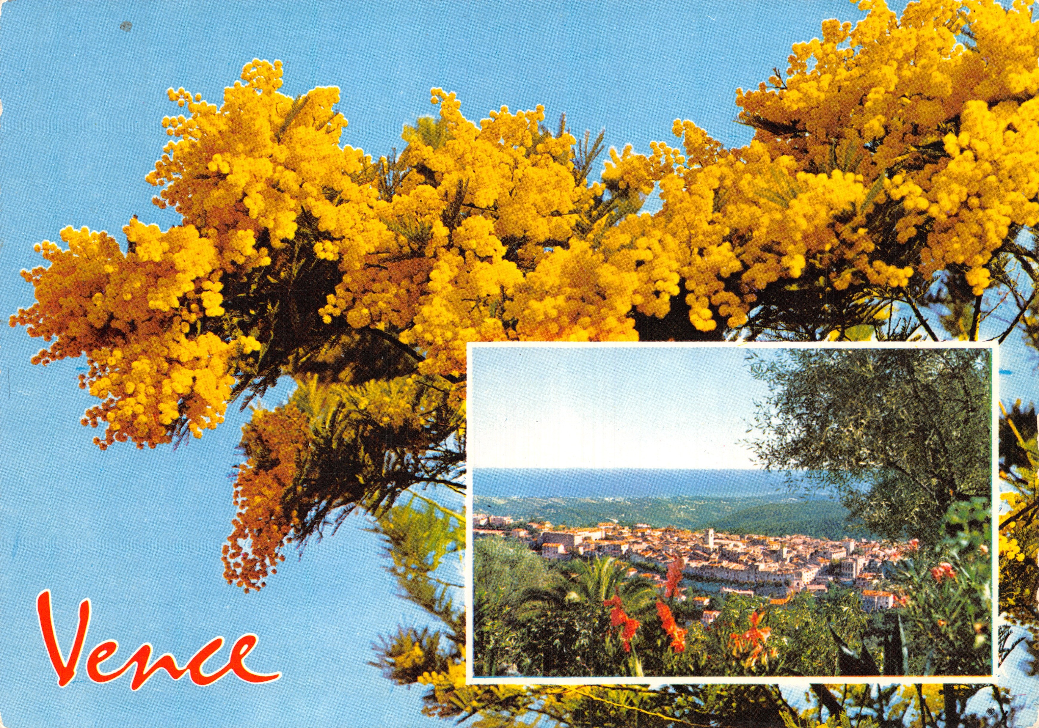 Vence — Panoramablick und Mimosenblüten — Editions GILLETIA