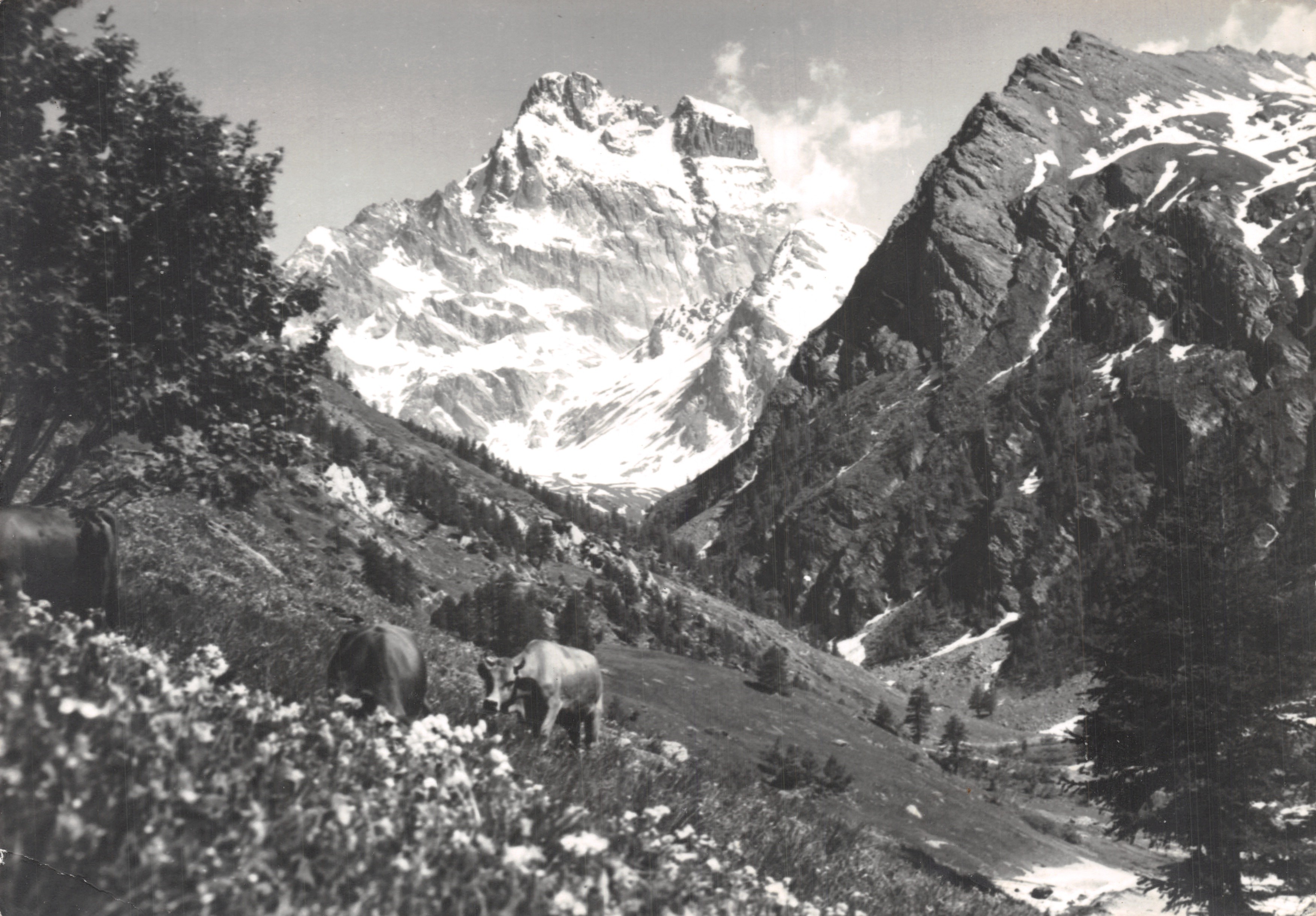El Mont Viso — Le Queyras — Éditions Pierre Tairraz Chamonix, n°10