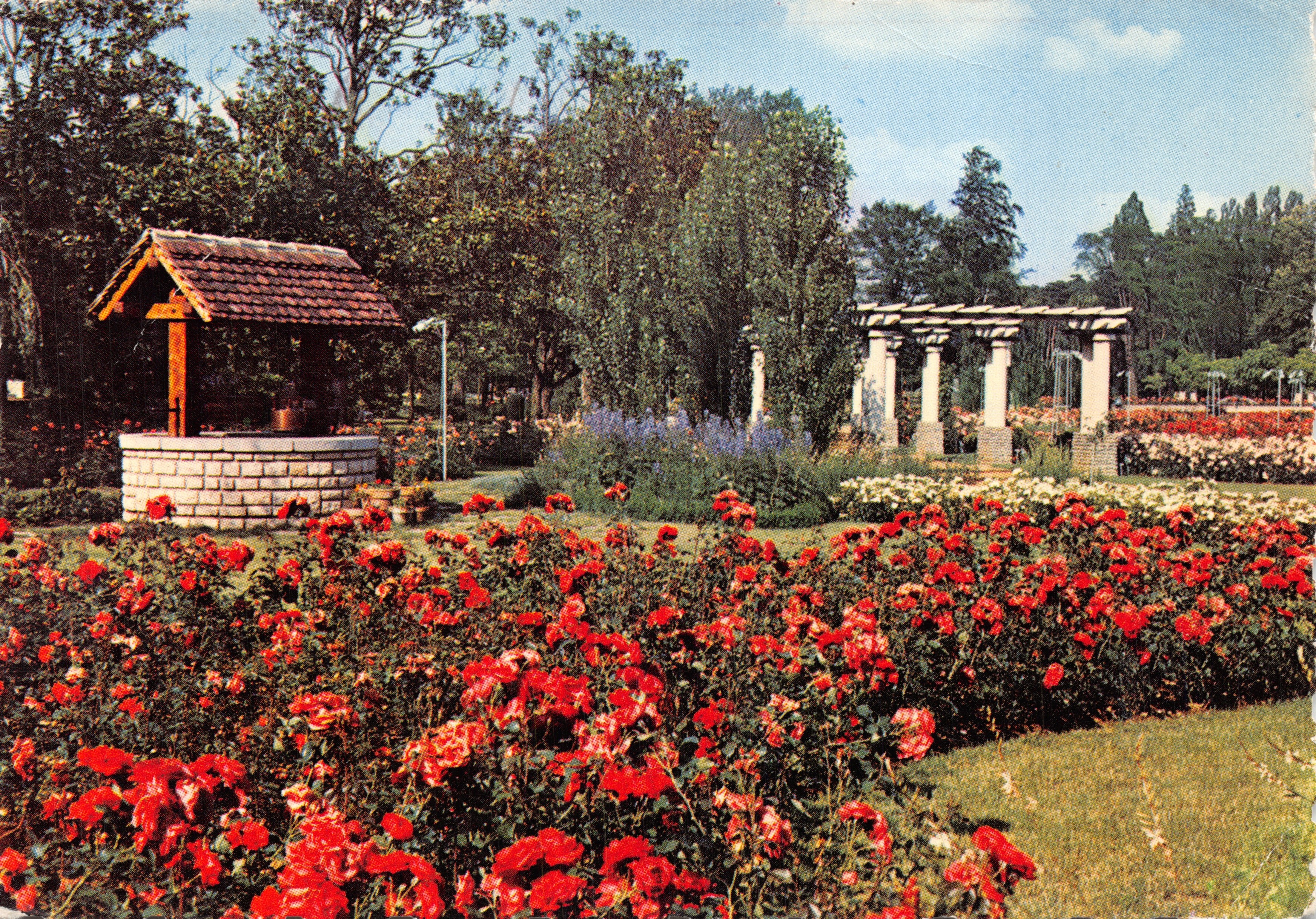 Le Parc de la Tête d'Or — Roseraie — Éditions J. Cellard