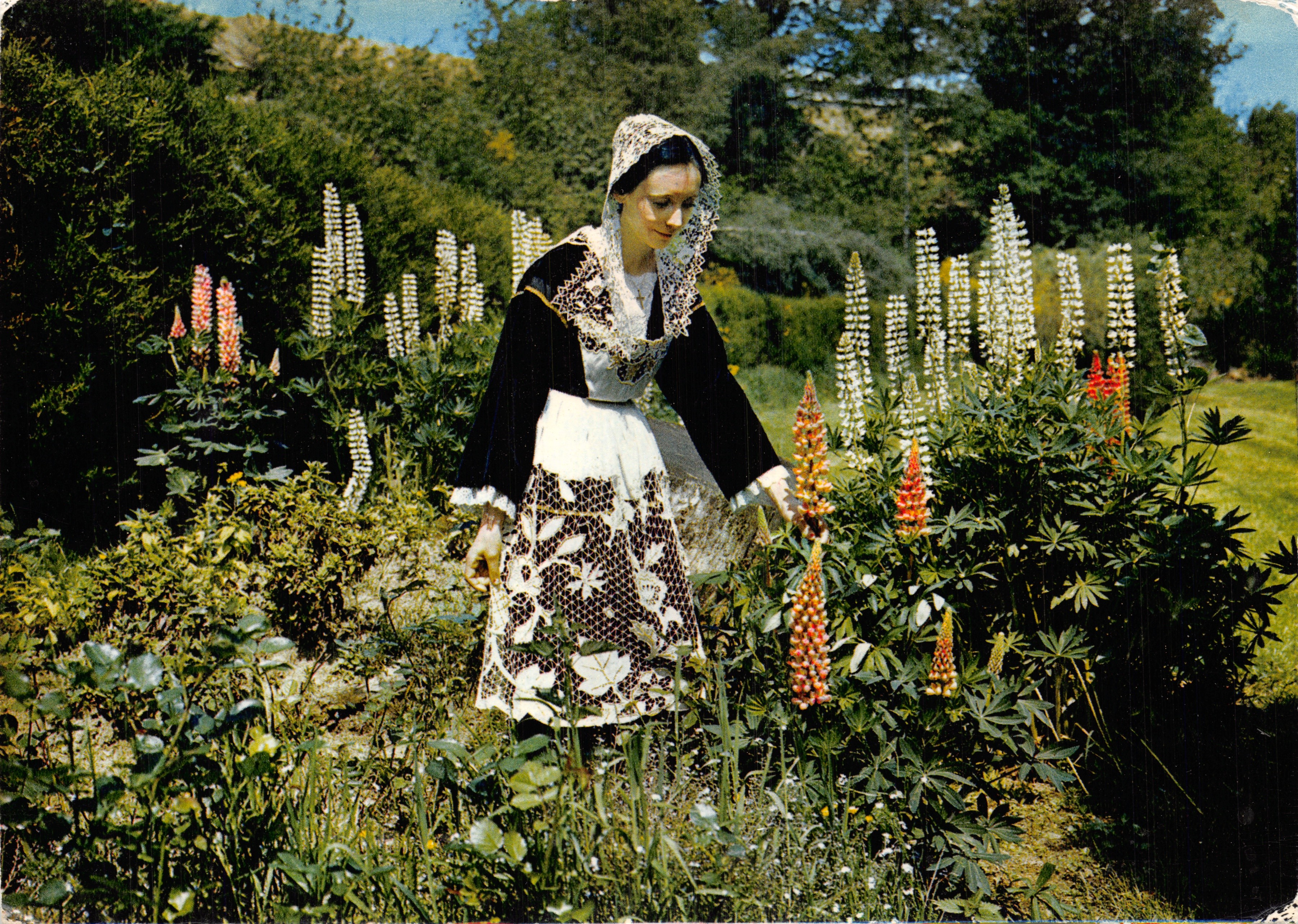 Femme en costume traditionnel — jardin de lupins — éditeur non visible