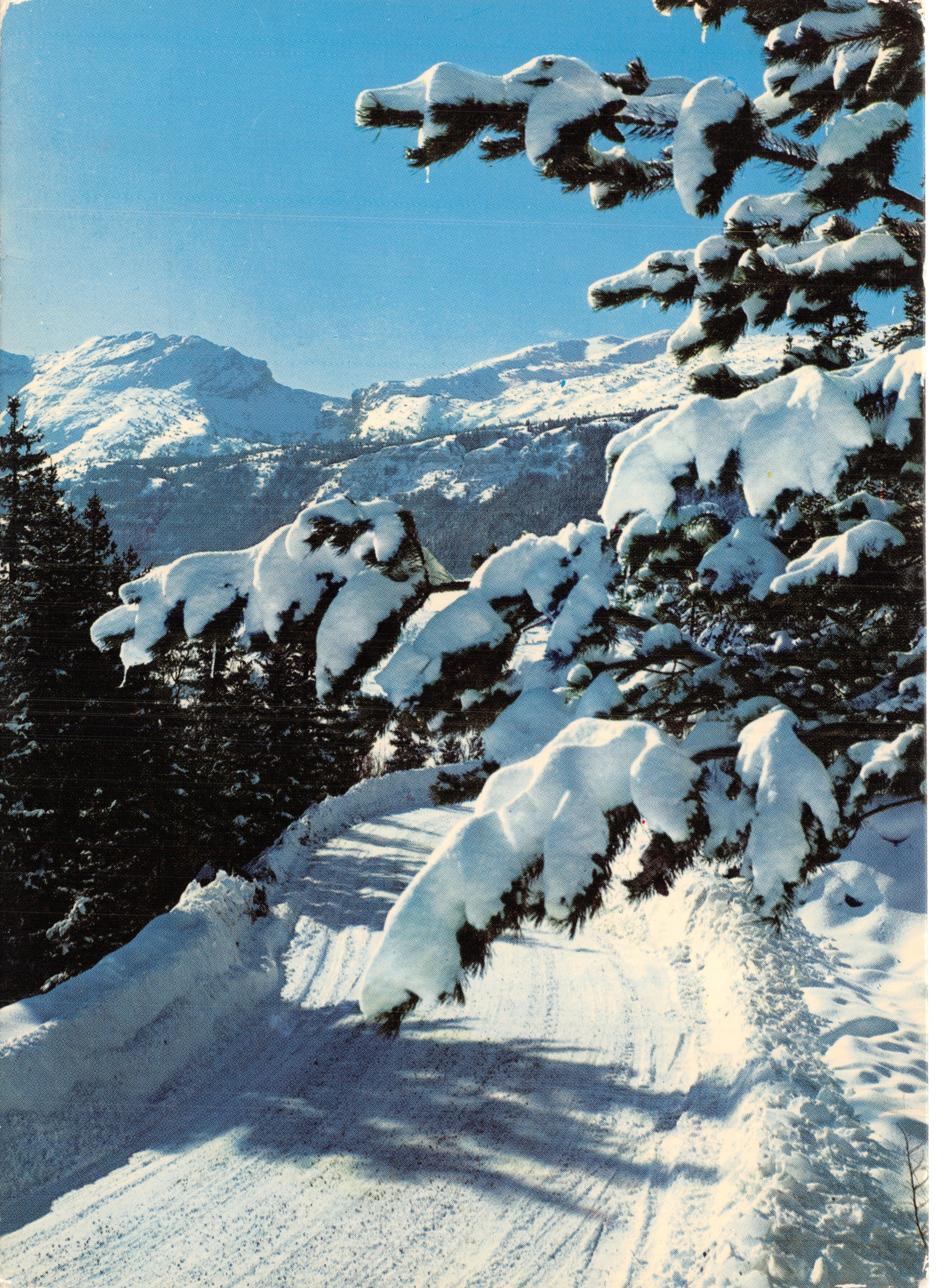 Vista di una montagna innevata — strada innevata circondata da alberi — editore 'Spadéni' n°38 PH 28
