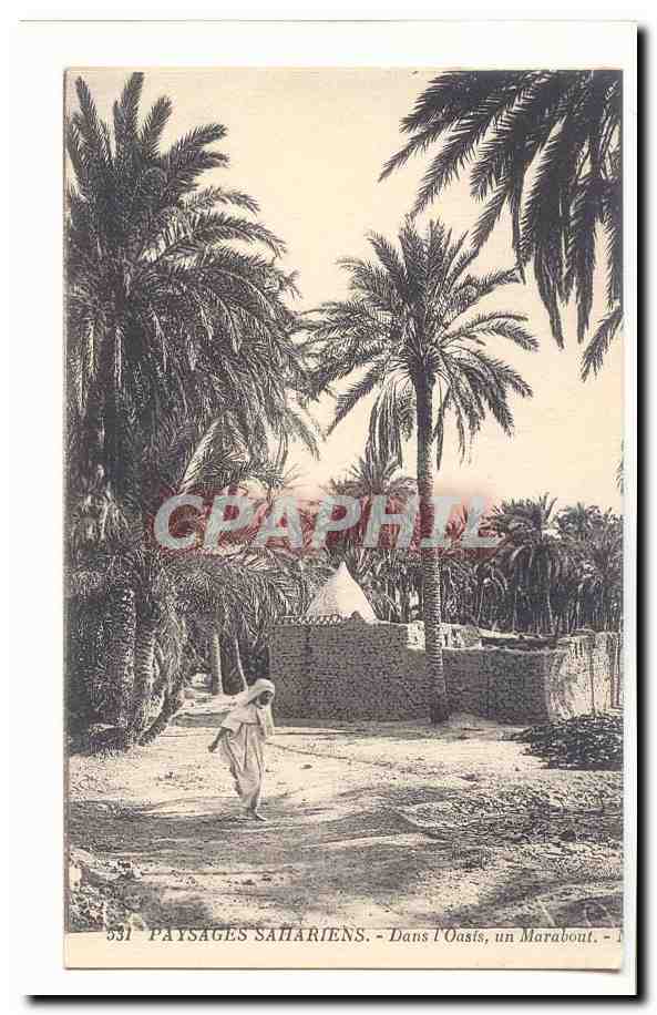 Paysages Sahariens — Dans l’Oasis, un Marabout — CPHAPHIL, n° 531