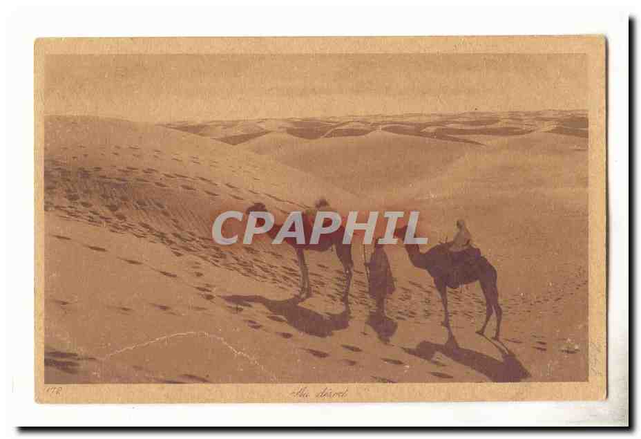 Dunes du désert — Deux chameaux et cavalier — Alfa Storck, n° 178