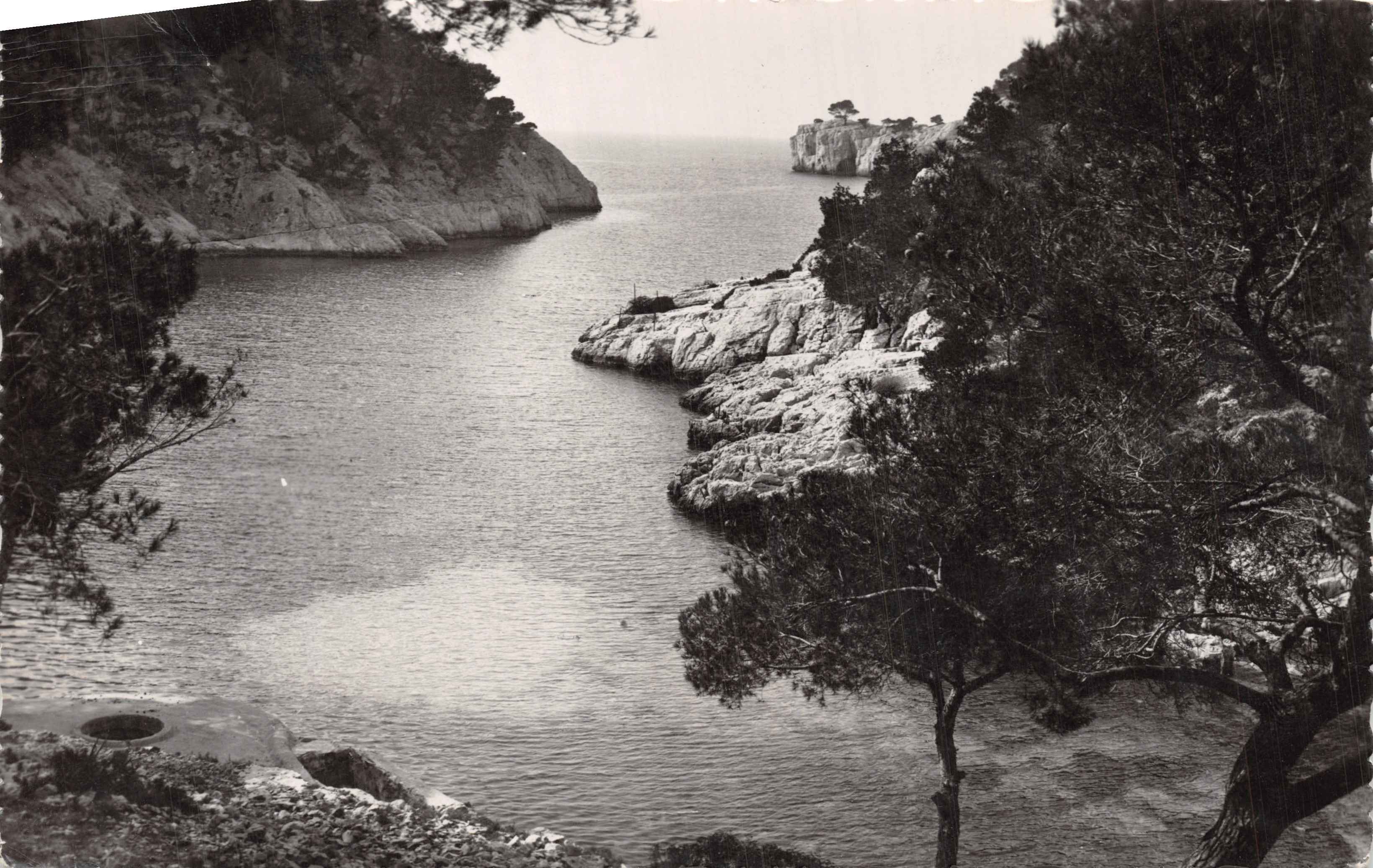 Cassiss-sur-Mer — Calanque de Port-Pin — A. TARDY Foto - Uitgever