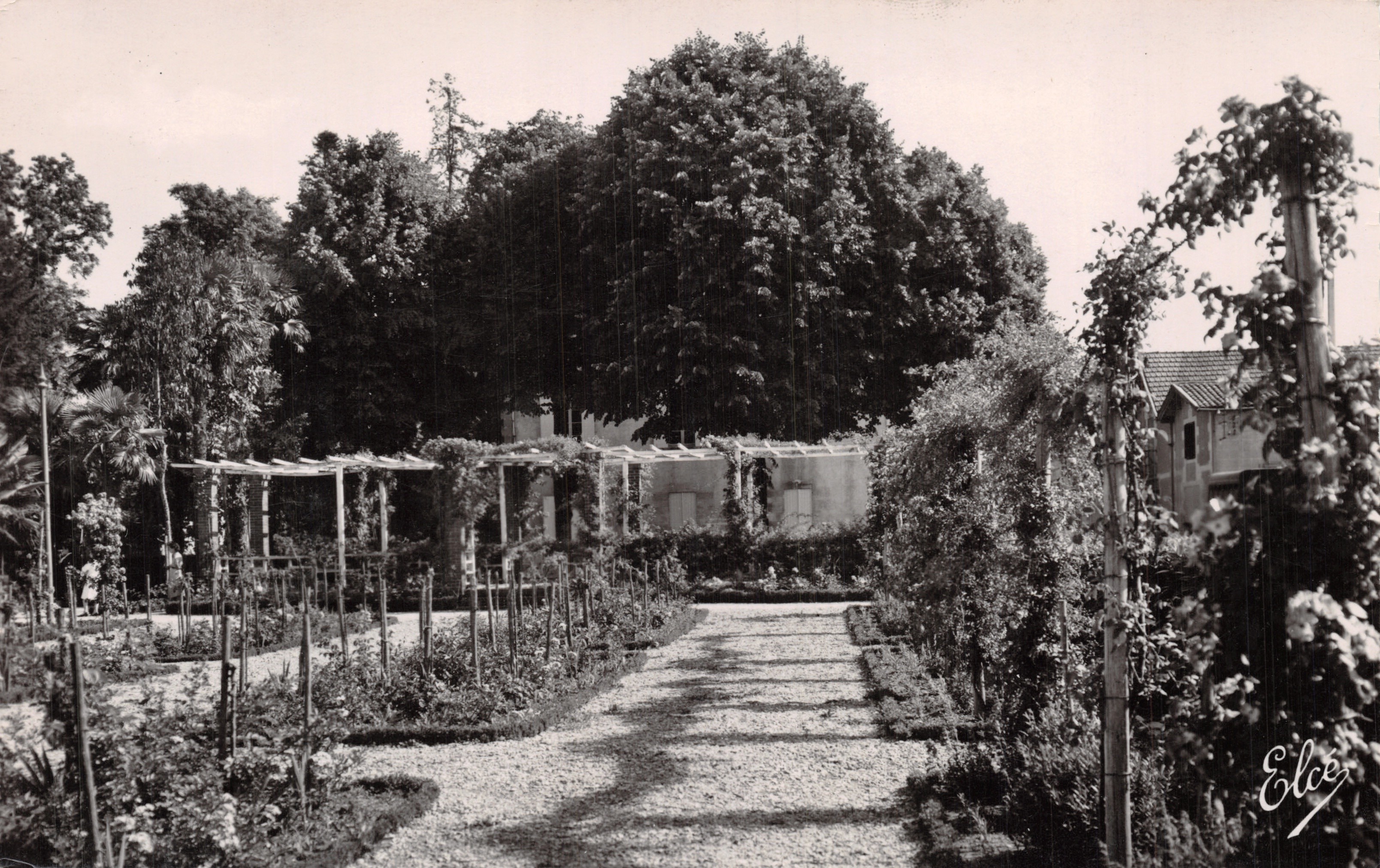 Rosaleda del Jardín Público — Bergerac (Dordogne) — L. Chatagneau, Bordeaux