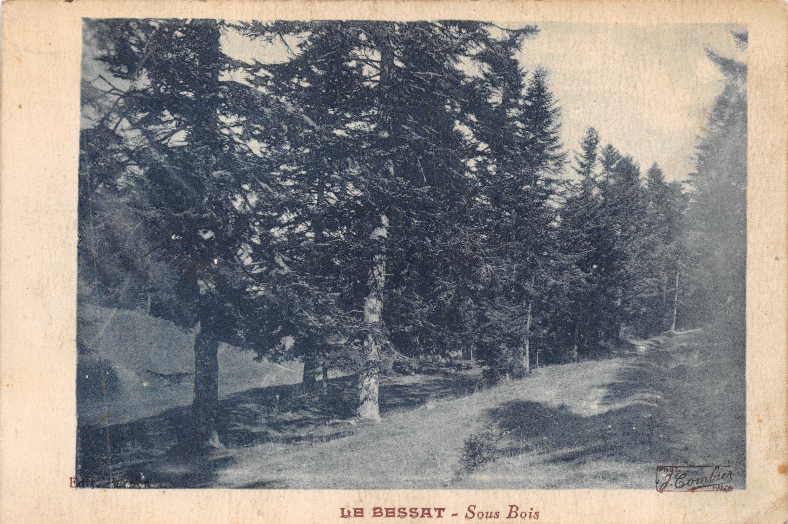 Le Bessat - Bajo los árboles — vista forestal con camino, editor Floombier