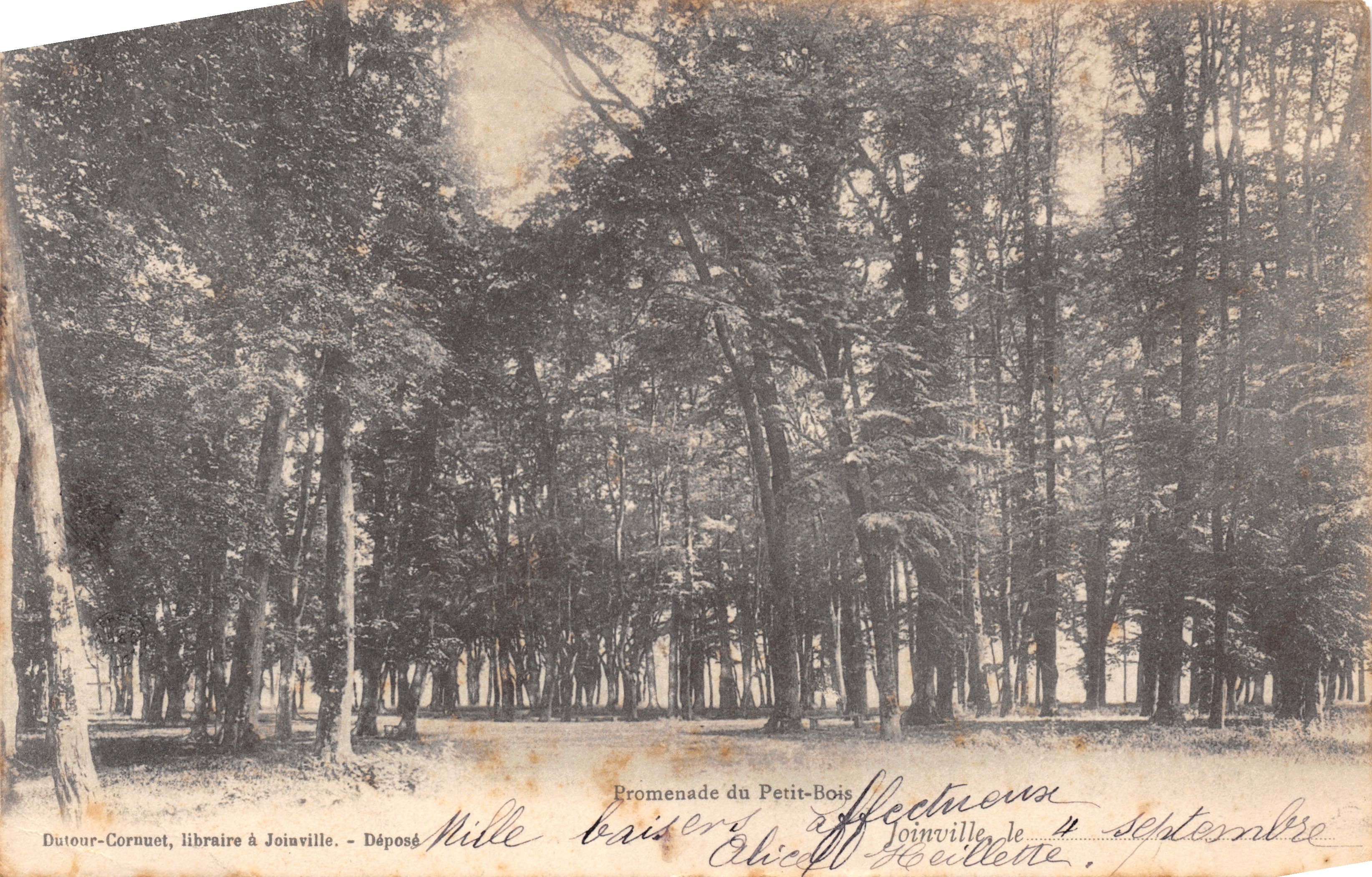 Promenade del Petit-Bois — avenida arbolada dentro de un parque — editor Dutour-Cornuet, librero en Joinville