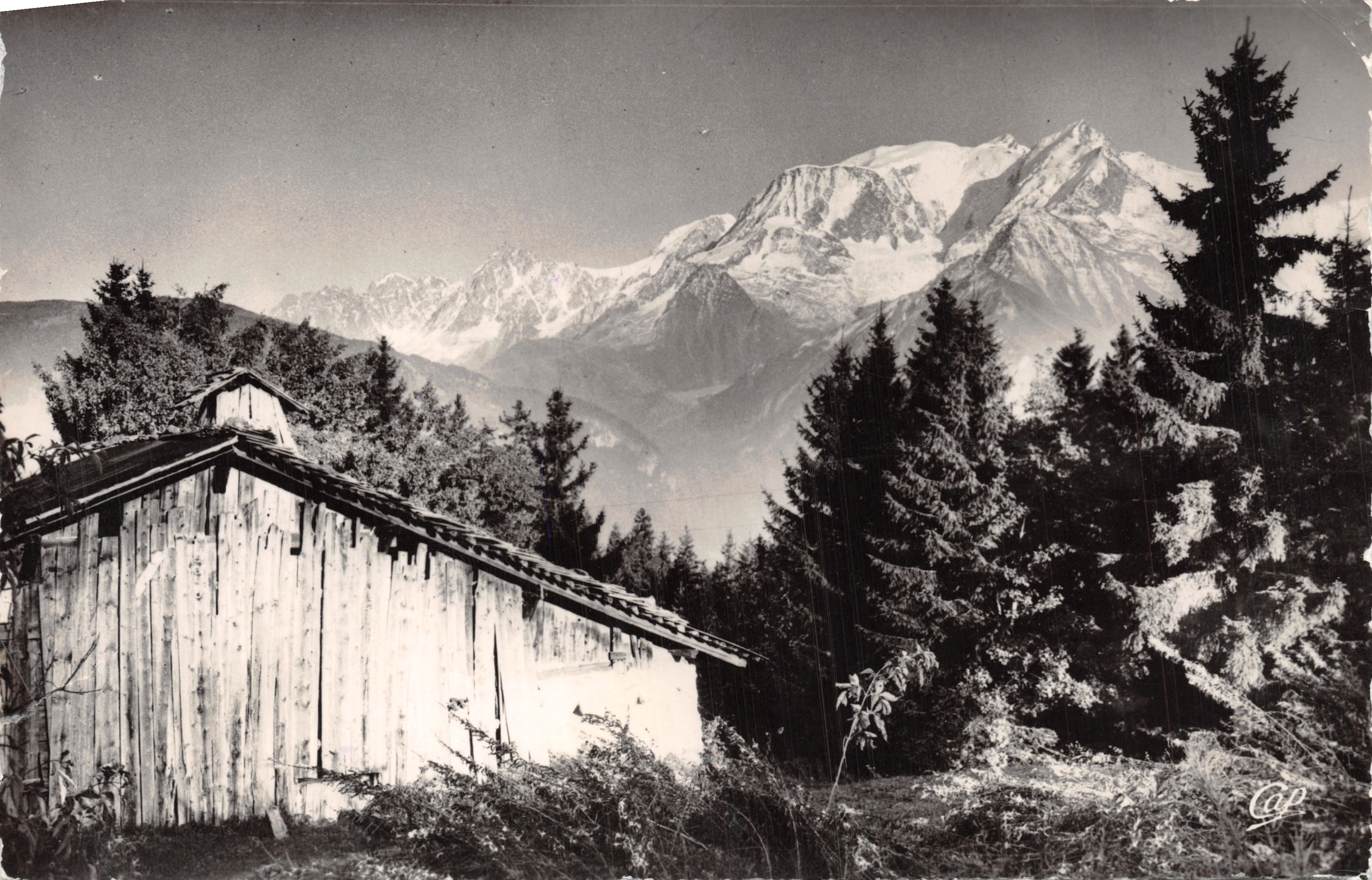 Mont-Blanc — uitzicht vanaf het Bettex — uitgever C.A.P. (C.A.P. Réal Photo)
