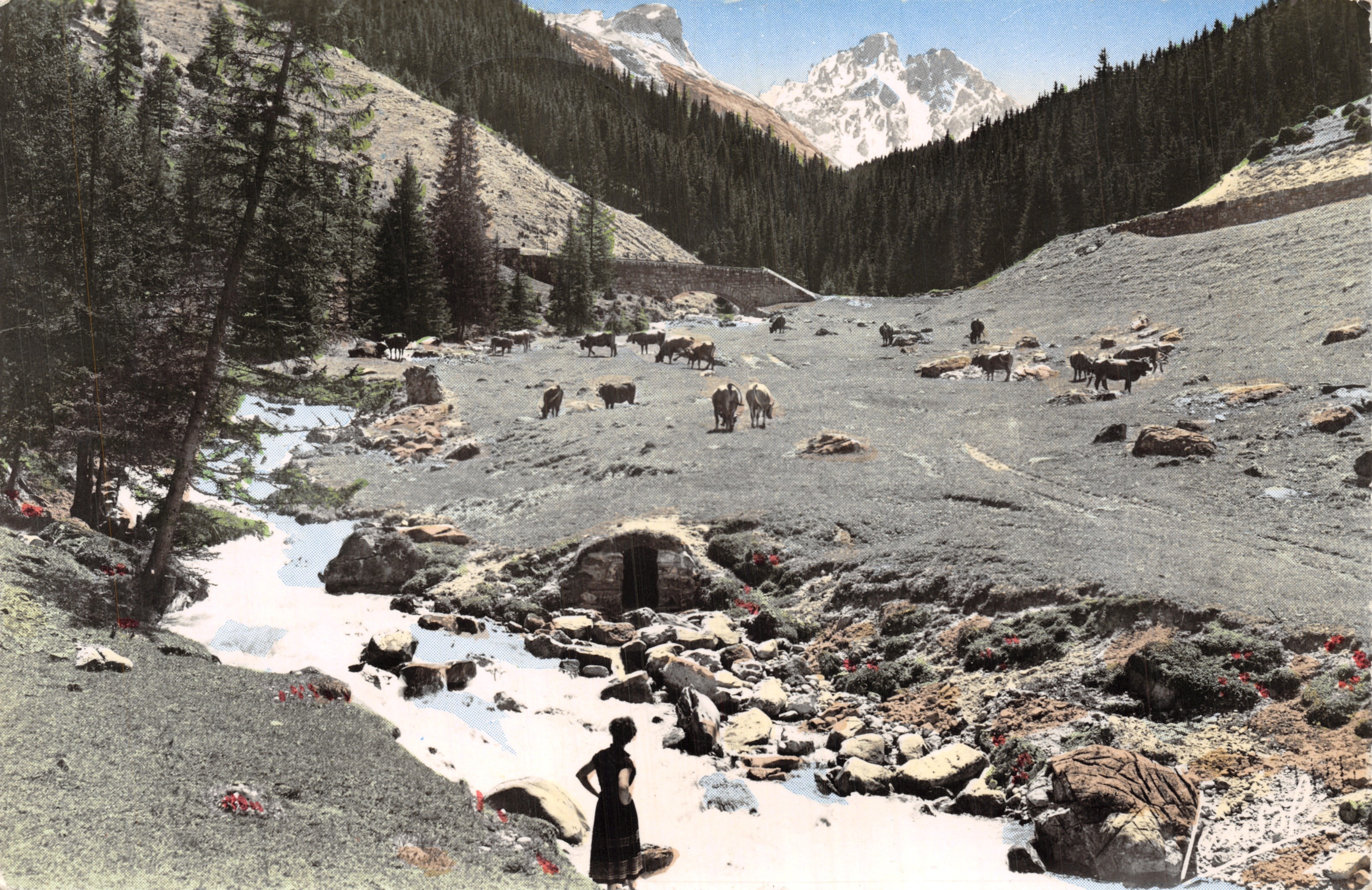 Zomer in de Alpen — afdaling van gesneeuwde hellingen, grazende koeien — JANSOL, rue Croix-d'Or, Chambéry (Savoie)