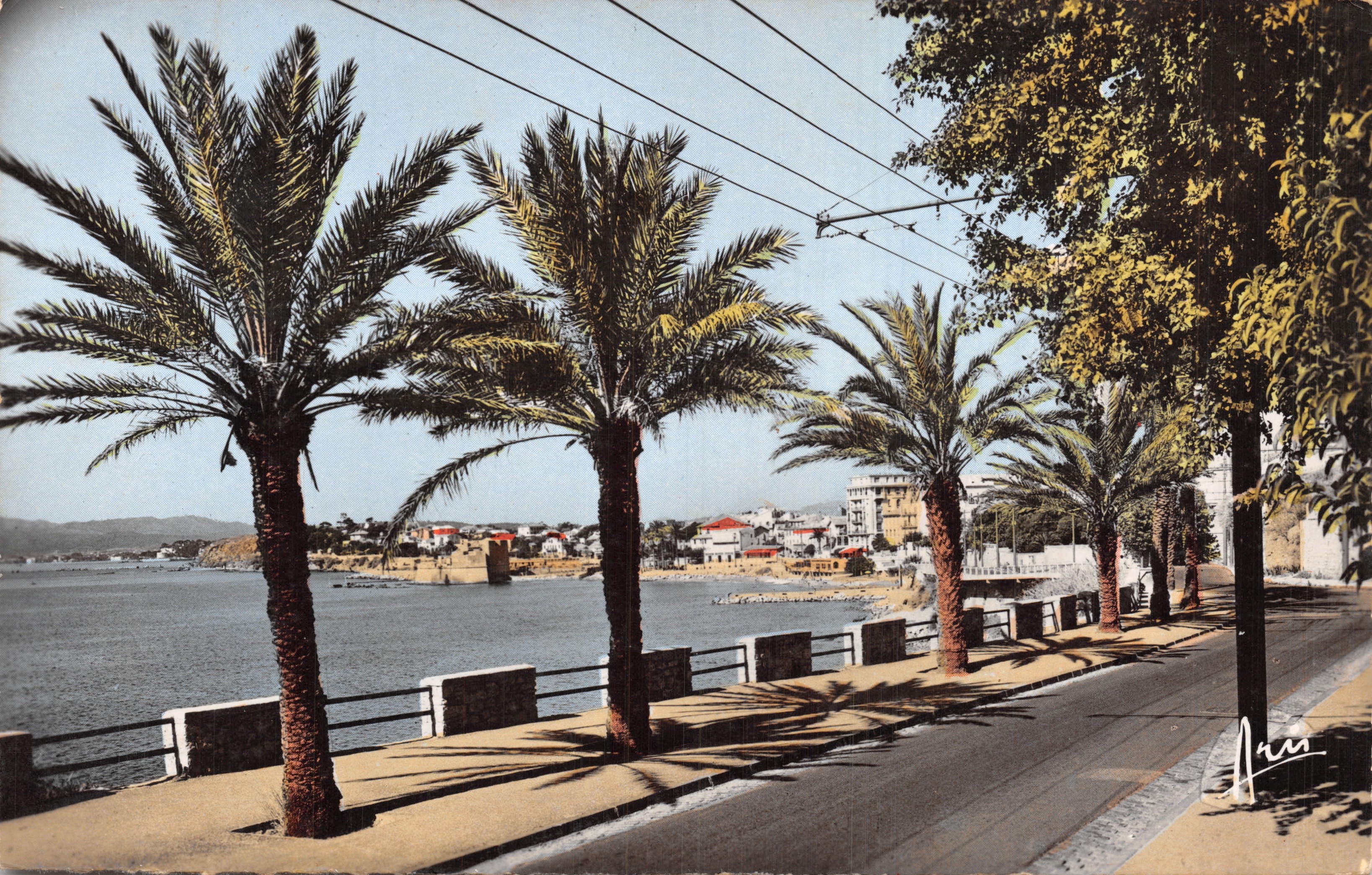 Le Mourillon — vista del porto con palme — Editions ARIS