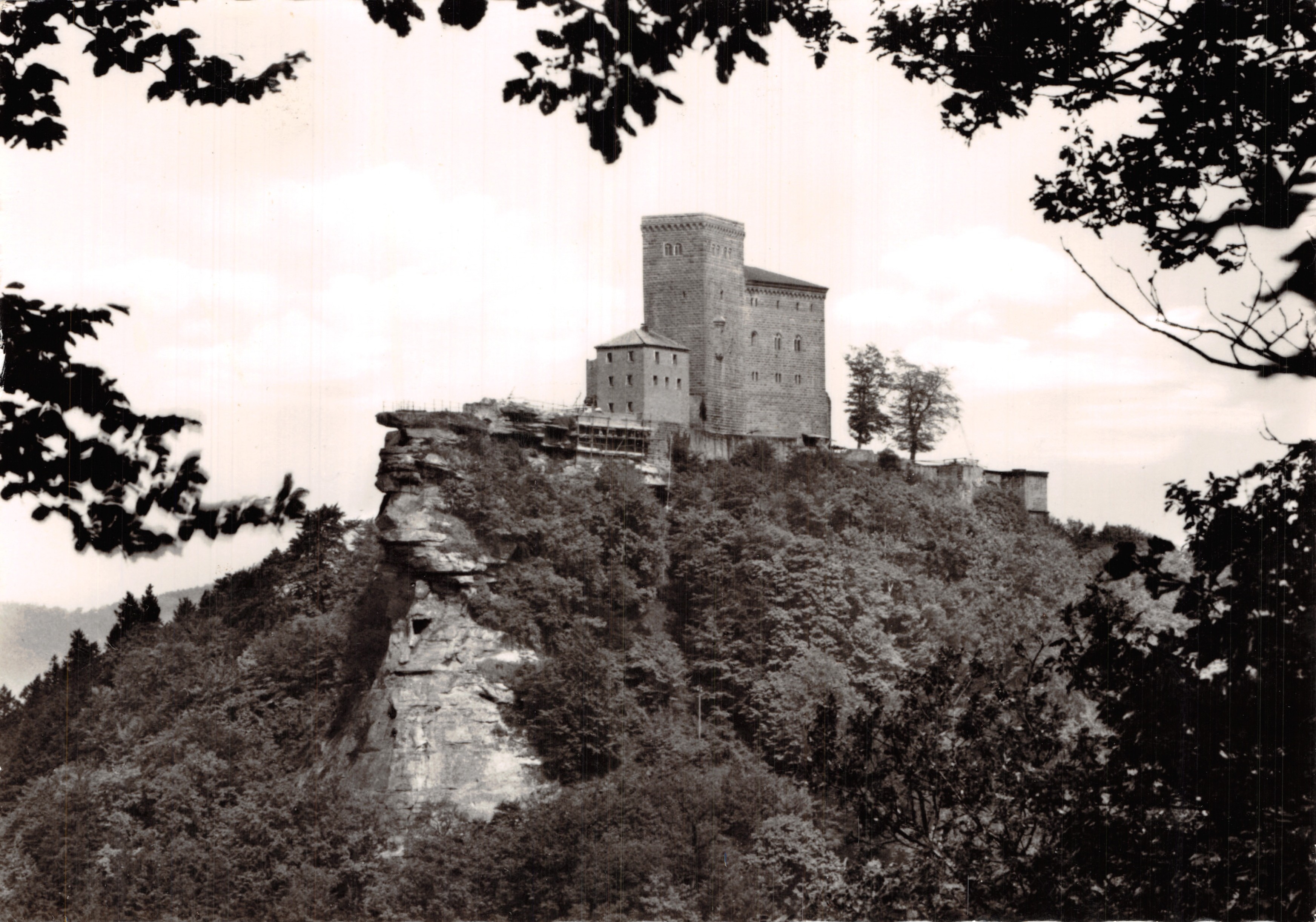 Castillo de Trifels — vista desde abajo, enmarcada por follaje — editor Cramers Kunstanstalt KG, n.º 66/1