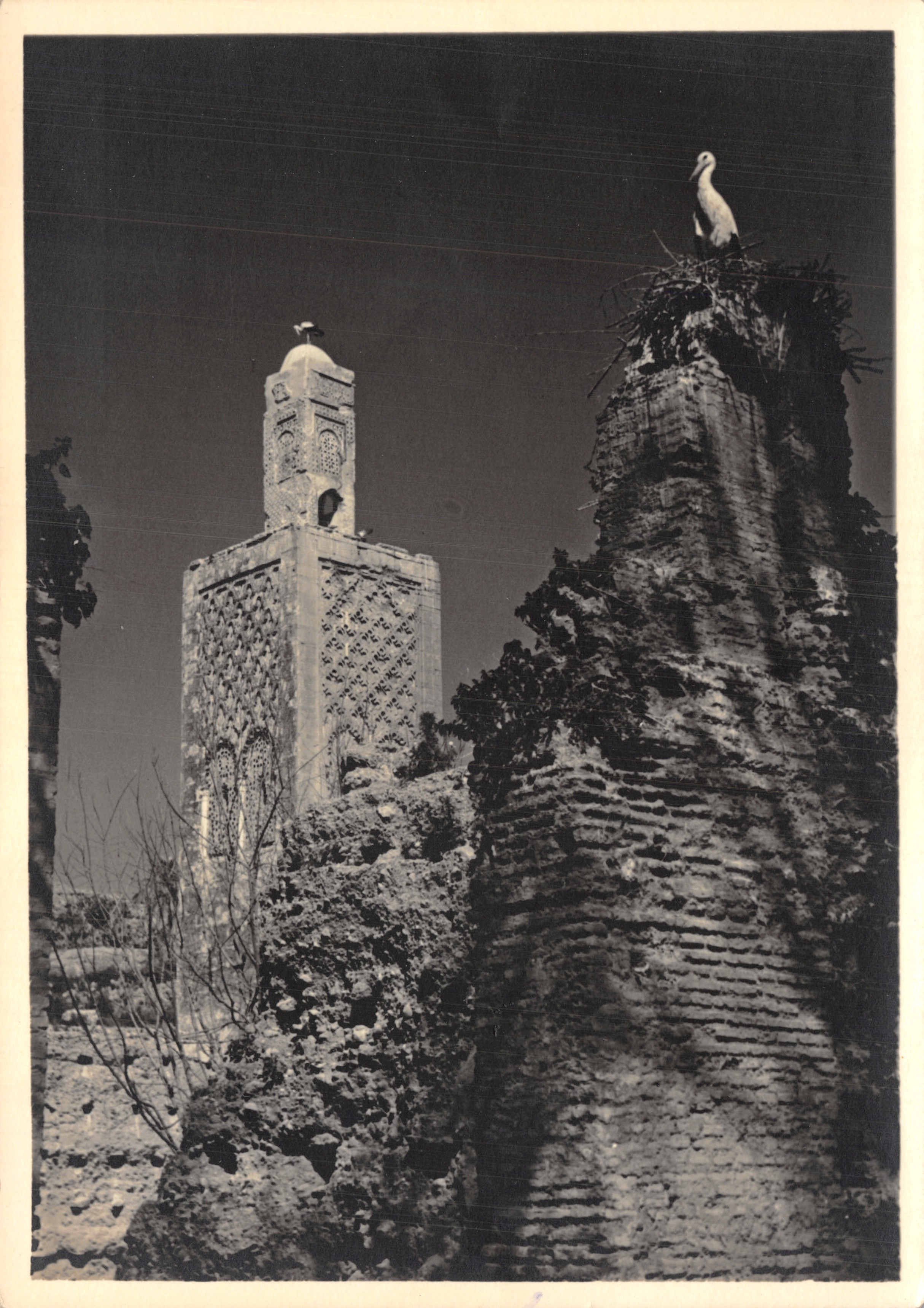 Minaret de la mosquée de Chellah — Rabat — Éditeur: Photos Éditions Van-Vollenhoven, n° 10.751