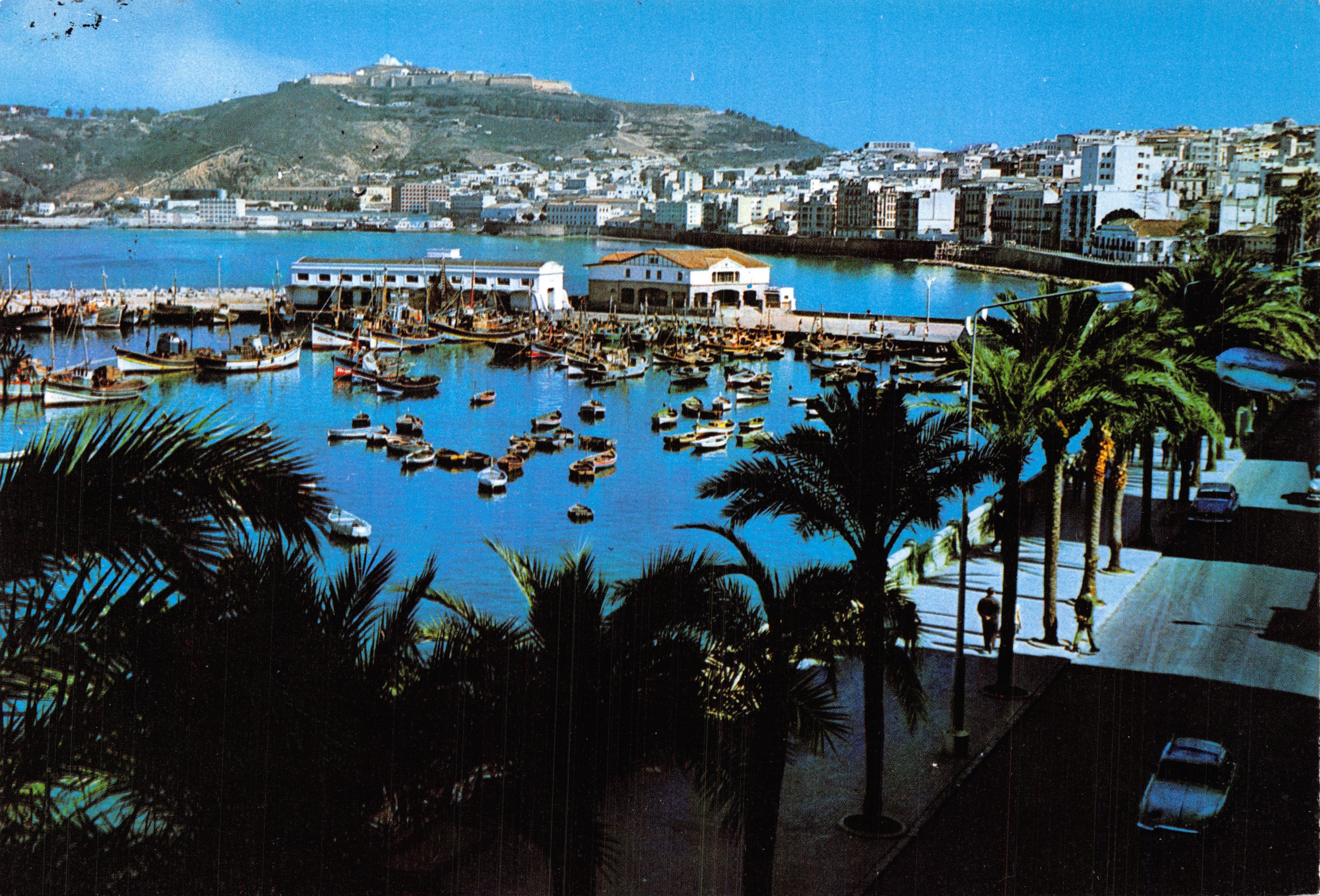 Ceuta — Port des pêcheurs et promenade des palmiers — Éditeur R. González, N° 3