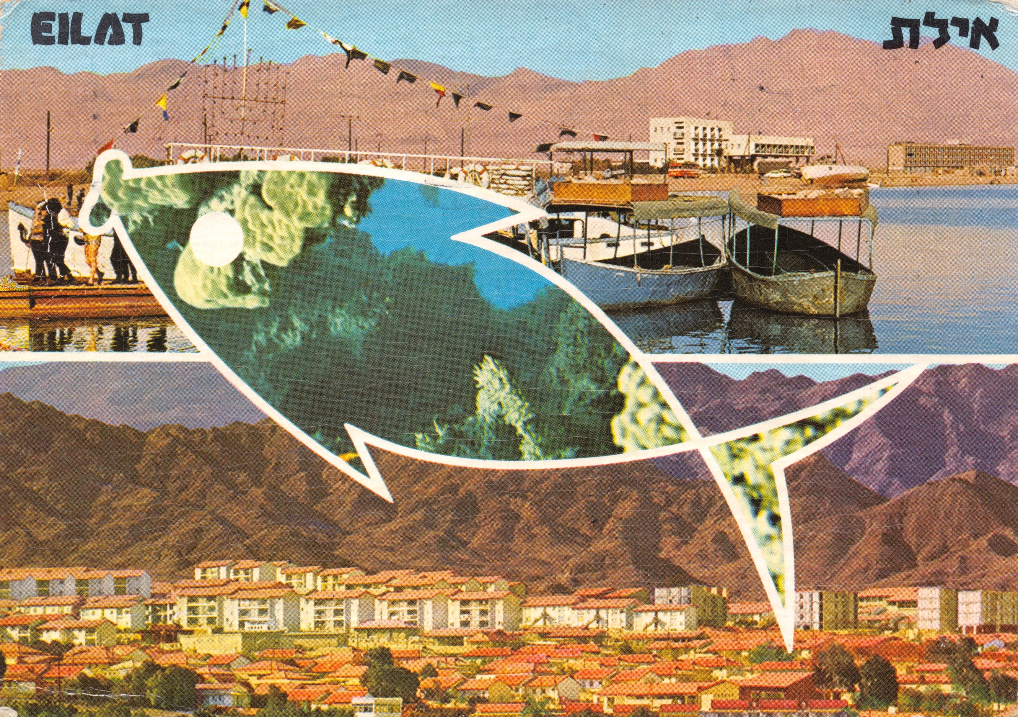 Eilat — panoramische uitzicht met boot en groot decoratief vis — uitgever PALPHOT