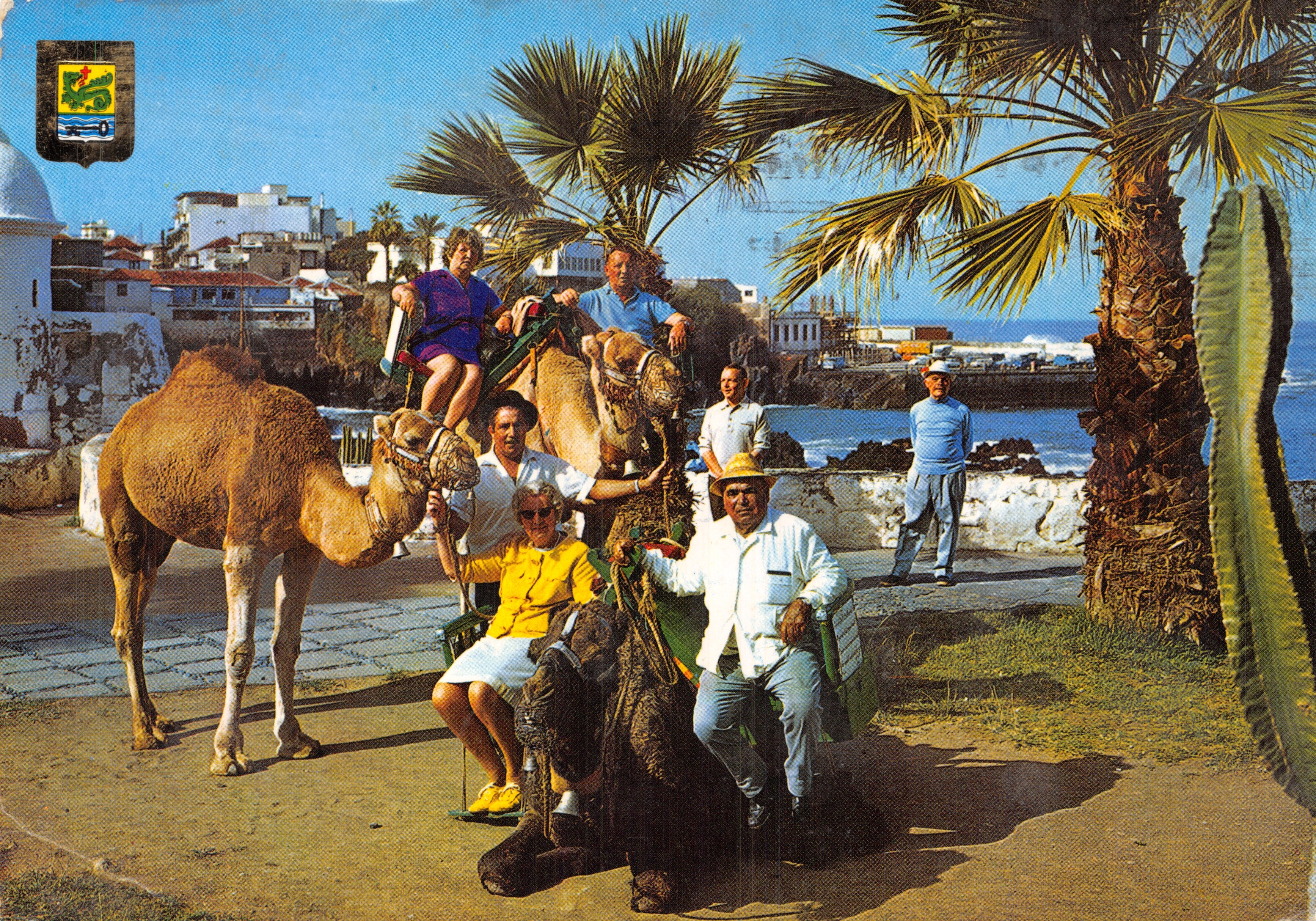 Camel ride — Puerto de La Cruz (Tenerife) — Ediciones FISA - Piqué, 4 - Barcelona