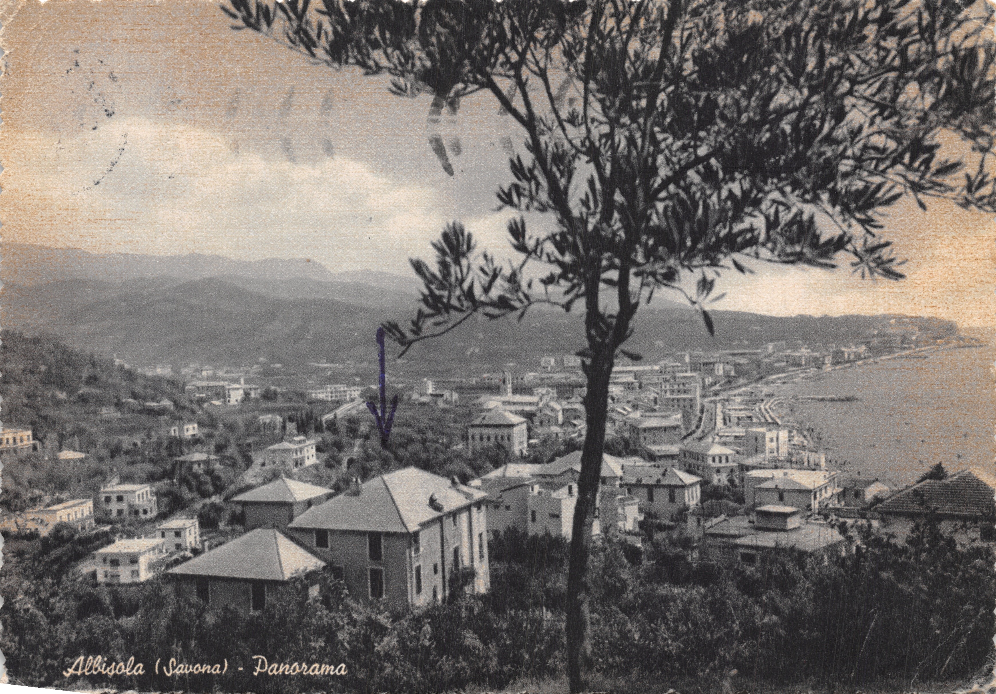 Albisola (Savona) - Panorama - vista desde un árbol, editor Ediz. L. Vezzoso