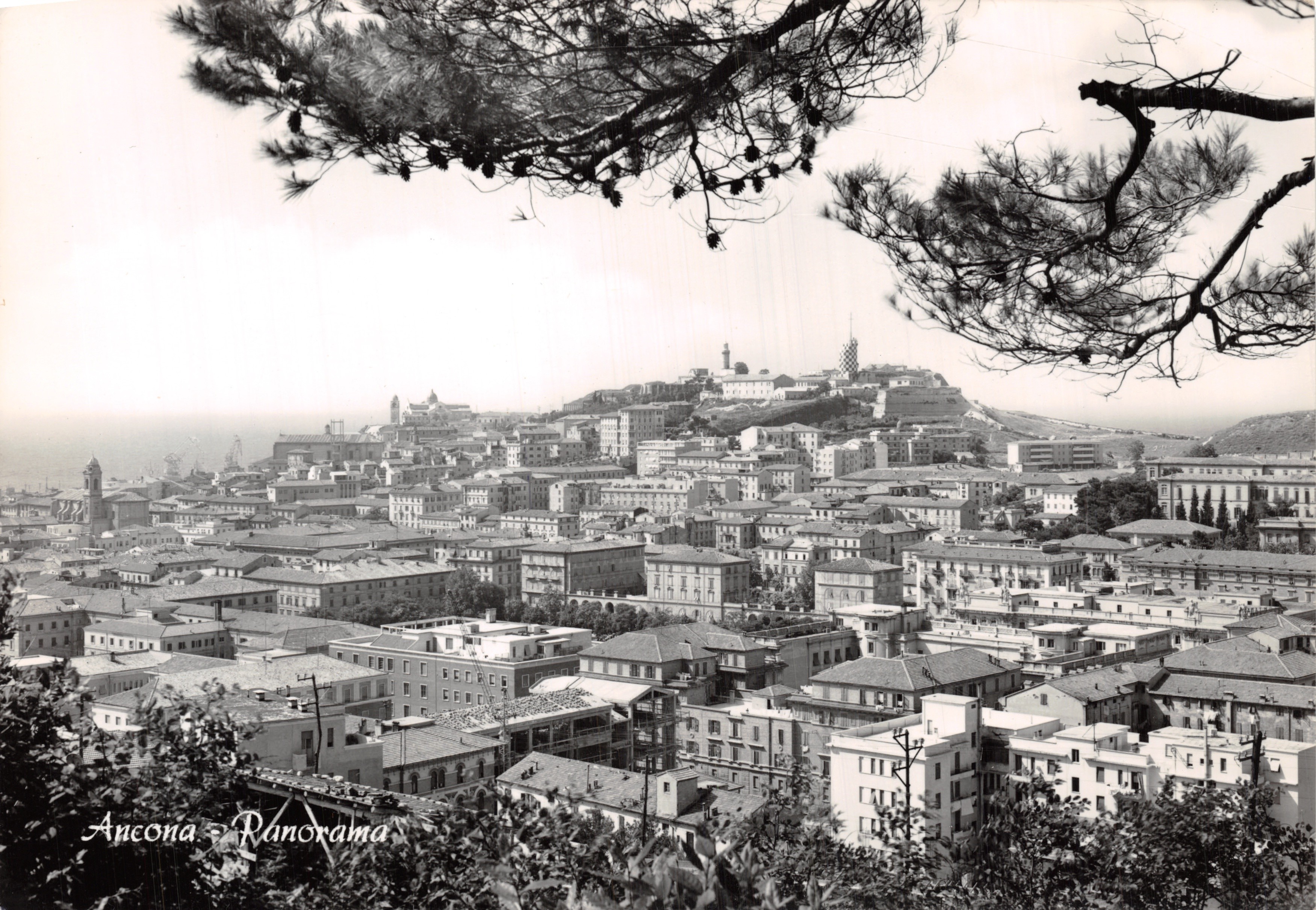 Ancona — Panorama — publisher LEVIBROM-MILANO