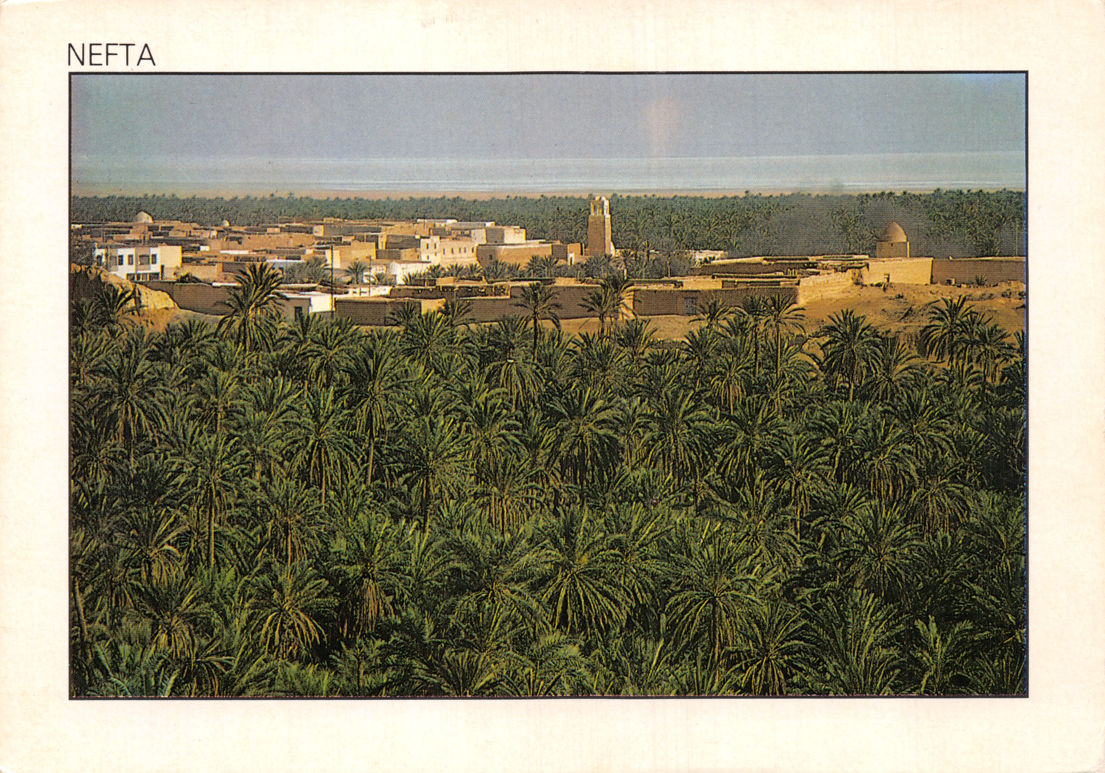 Nefta — vista aerea della città circondata da palme — editore TUNISIE LUMIERE, n. 017