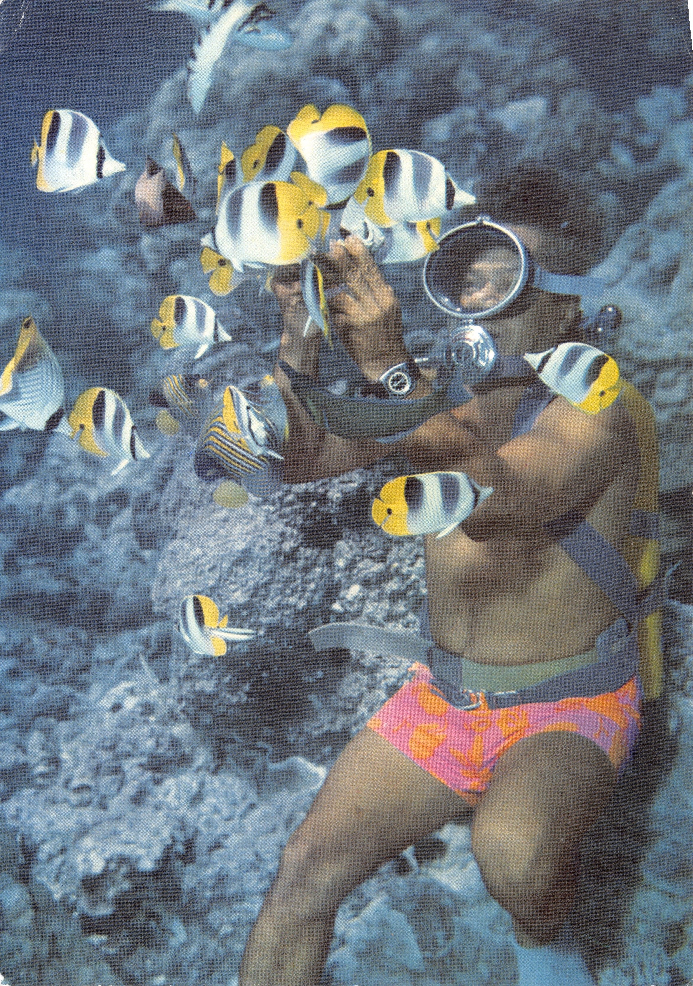 Bora-Bora — buceador con peces en barco de fondo de vidrio — Edición y Copyright: Erwin Photo, Tahiti