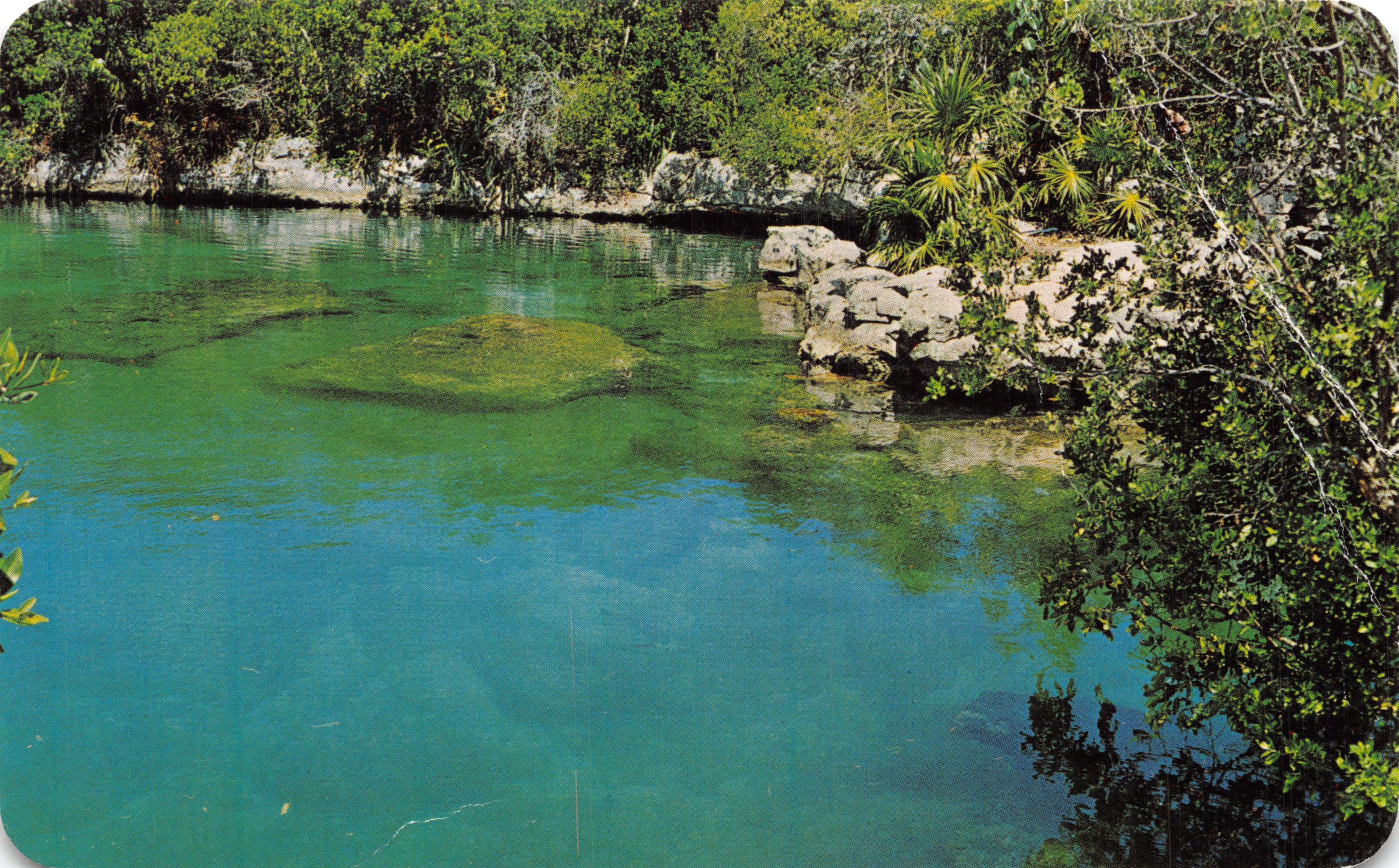 Laguna Xel-Ha — Laguna de Xel-Ha — editor TARJETA POSTAL "VISTACOLOR"