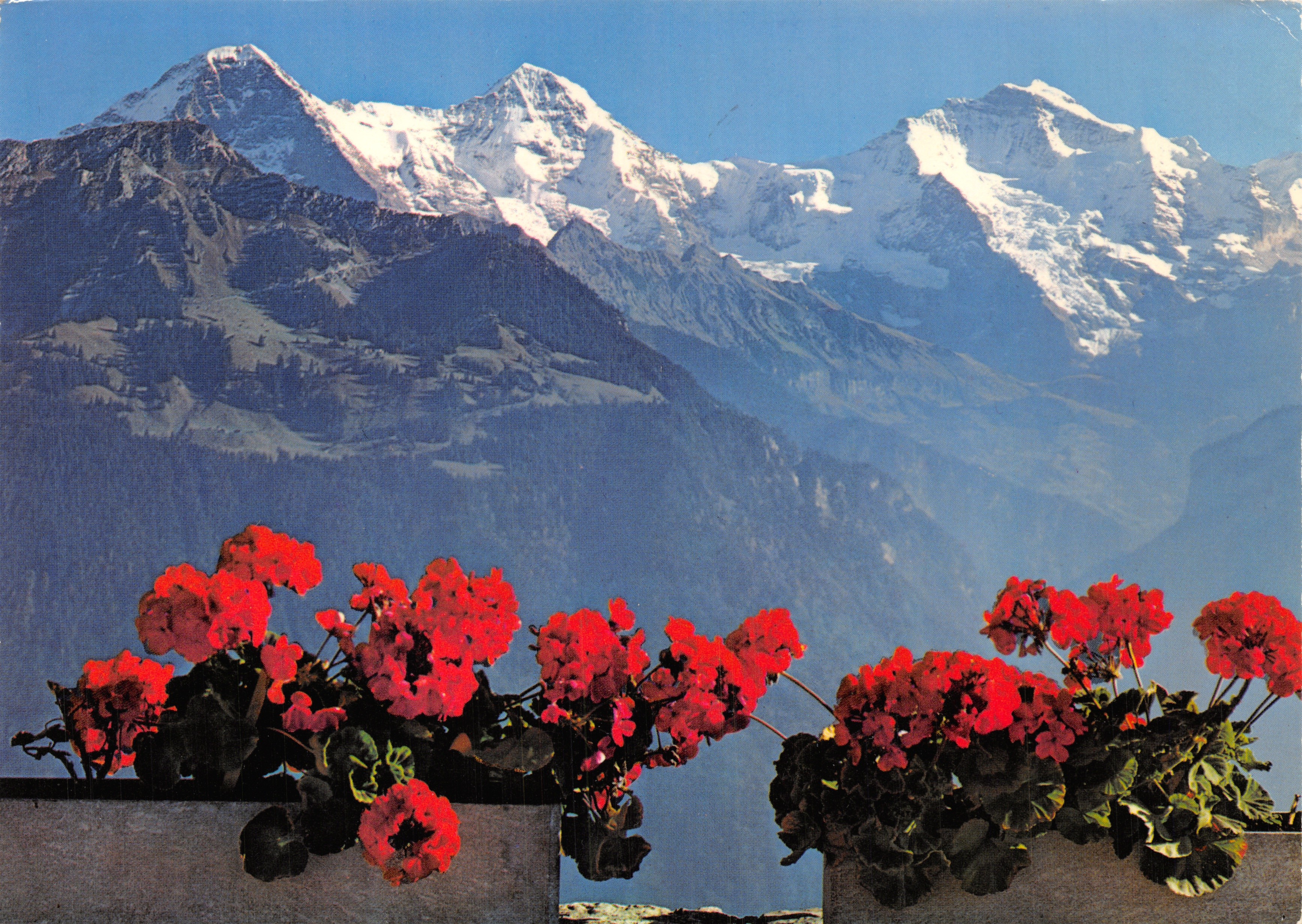 Vue des monts Eiger, Mönch et Jungfrau — depuis le Harder Kulm (1322 m) — éditeur Verlag Photoglob AG, Zürich